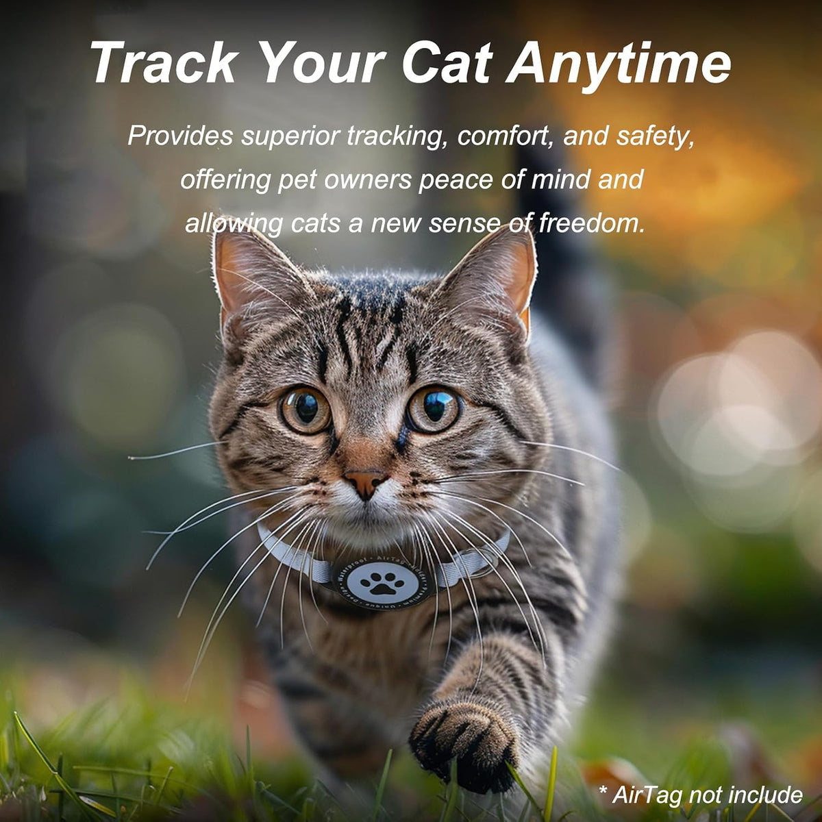 Airtag Cat Collar, Stretchy Kitten Collar with Apple Air Tag Holder, Blue