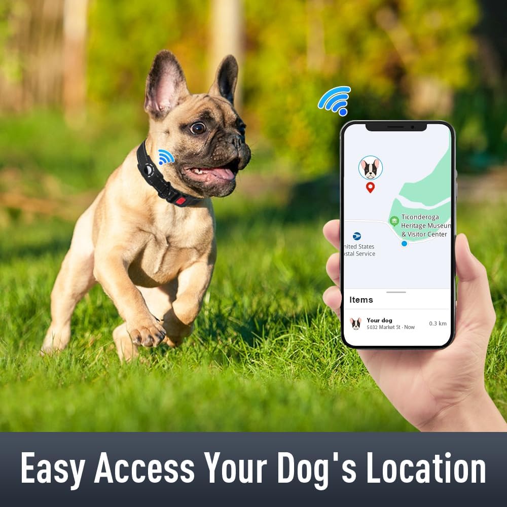 AirTag Dog Collar with AirTag Holder Compatible for Air Tag, Reflective Soft Padded, Safety Locking Buckle, Adjustable Nylon for Small Medium Large Dogs (Black,S)