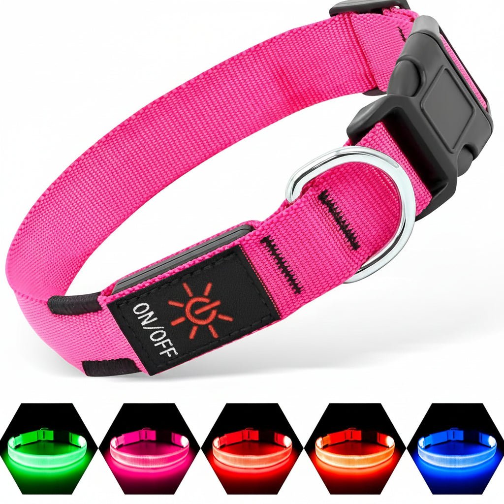 LED AirTag Dog Collar Waterproof Rechargeable Light Up Pet