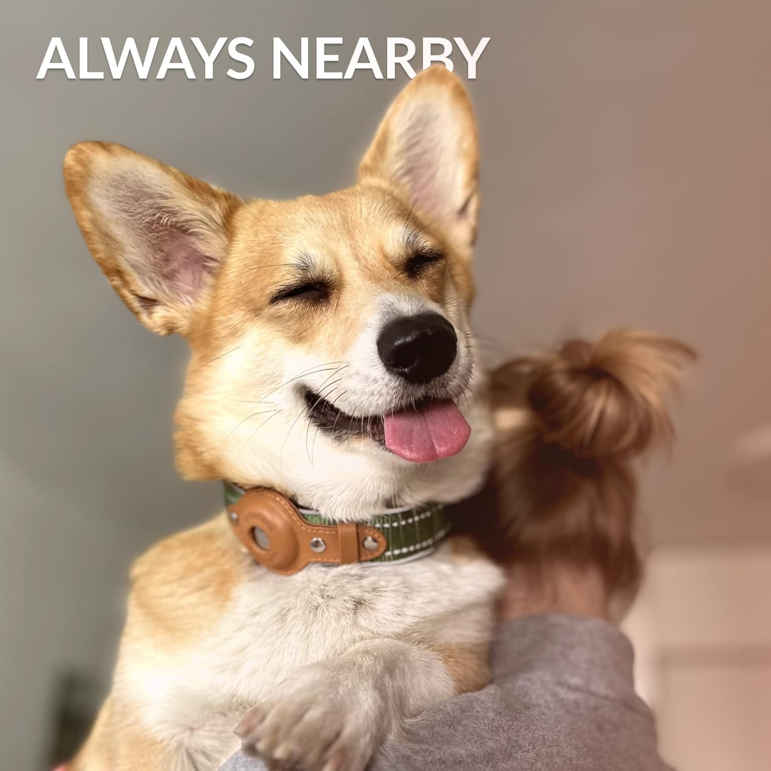 Reflective Airtag Dog Collar – Adjustable, Durable, and Comfortable for All Breeds - Abbycart