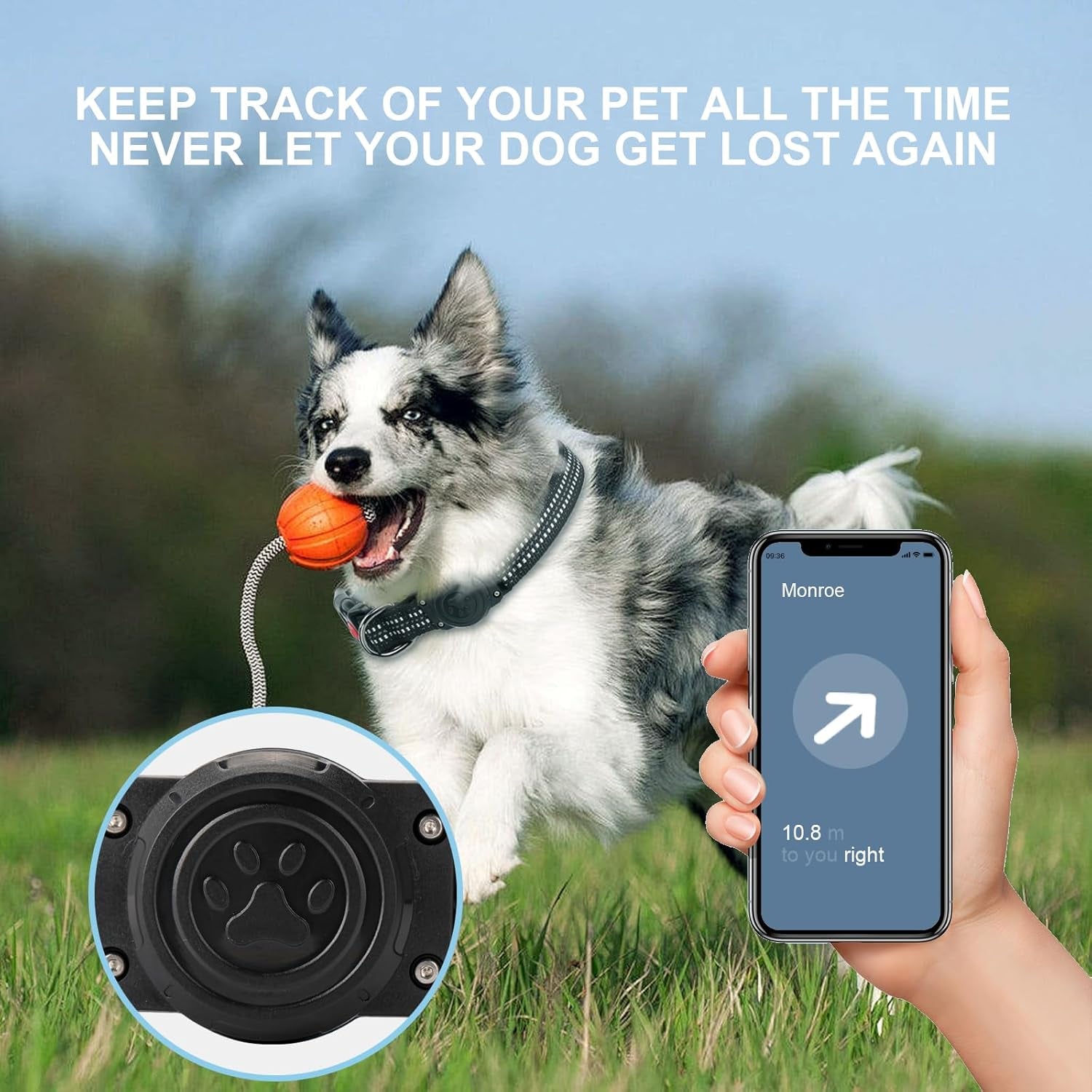 Reflective Waterproof Dog Collar with Airtag Holder – Durable & Secure for Large Active Dogs - Abbycart