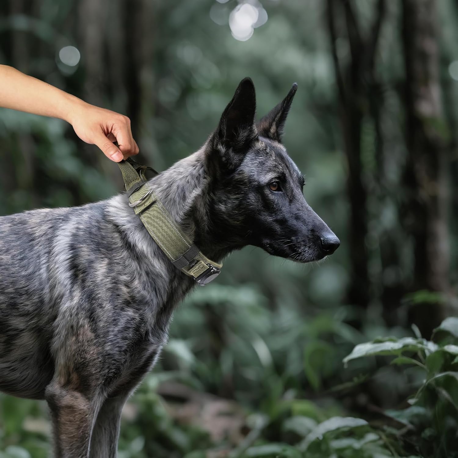 Tactical Air Tag Dog Collar Waterproof Adjustable with Handle