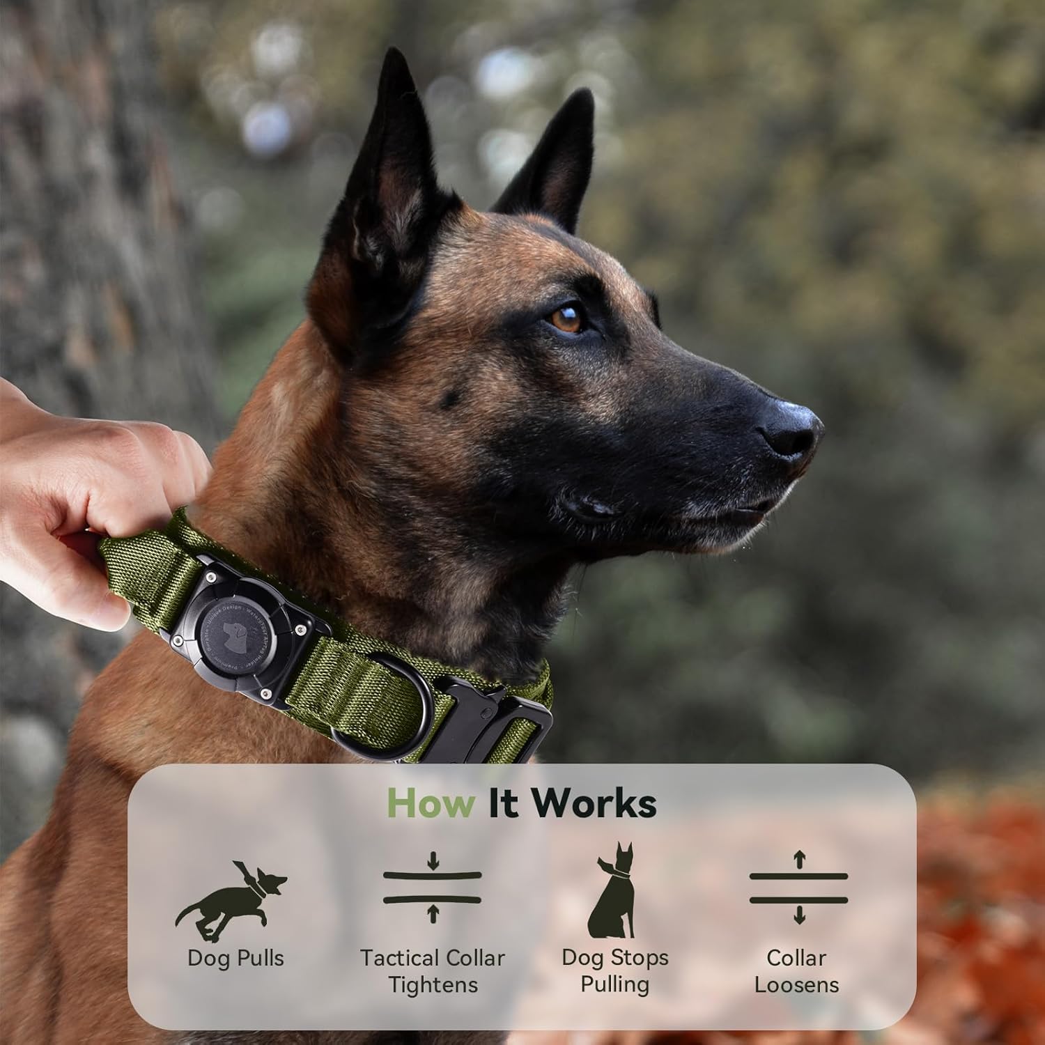 Tactical AirTag Dog Collar – Waterproof & Heavy Duty GPS
