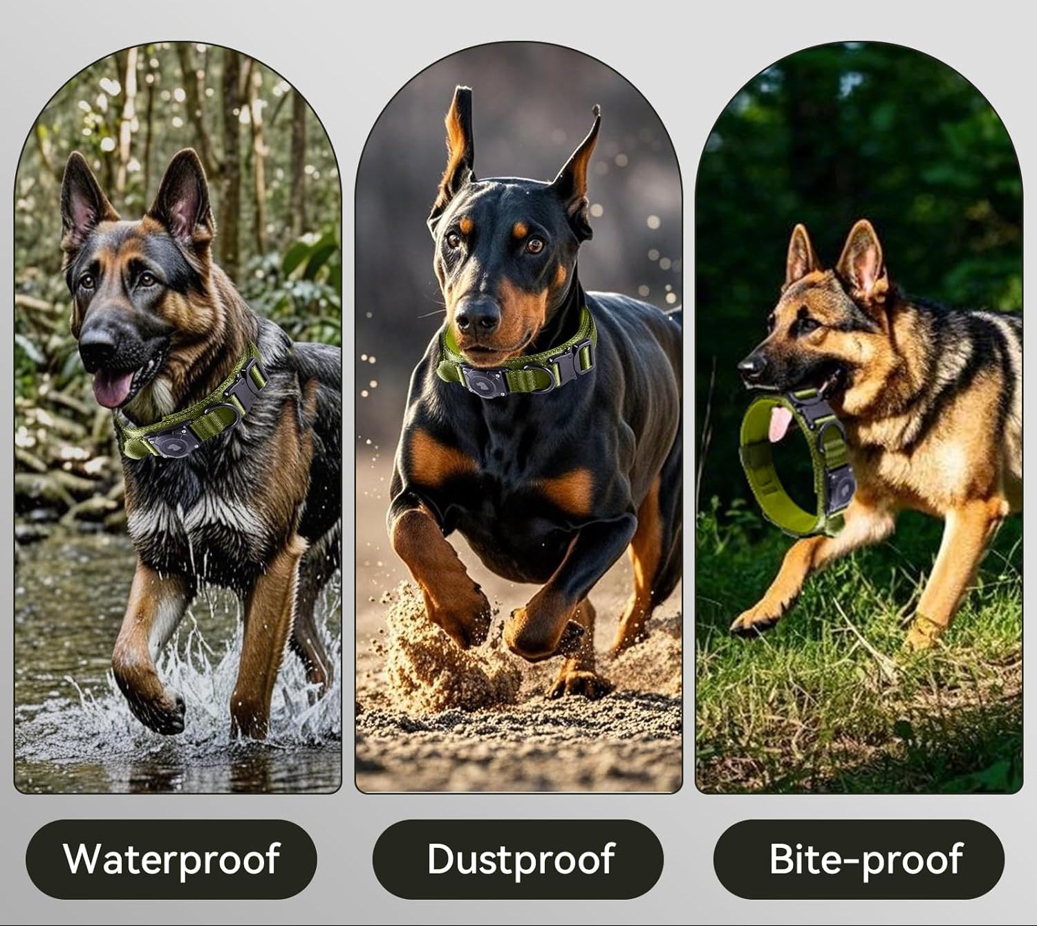 Tactical AirTag Dog Collar – Waterproof & Heavy Duty GPS - Abbycart