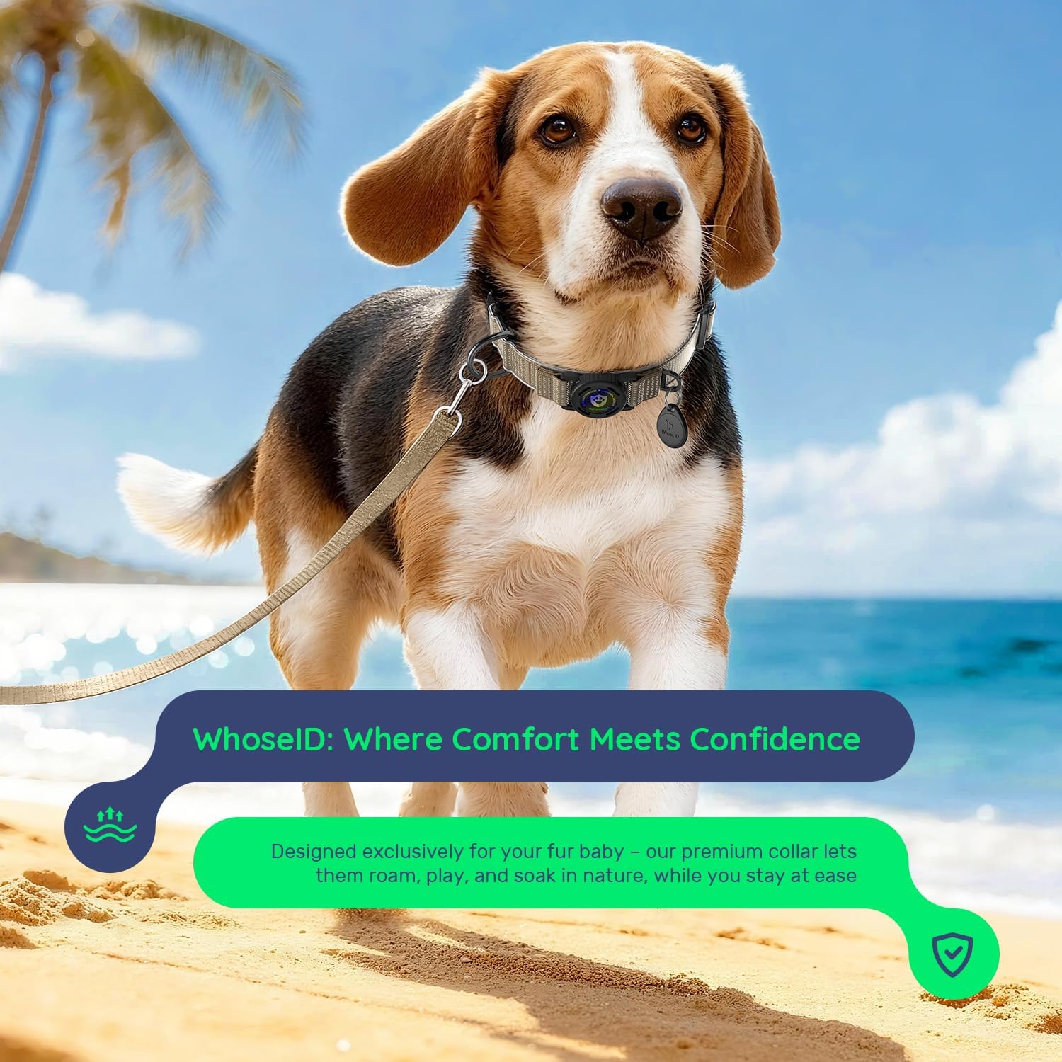 Waterproof AirTag Dog Collar for Large Dogs, Magnetic Buckle, Reflective