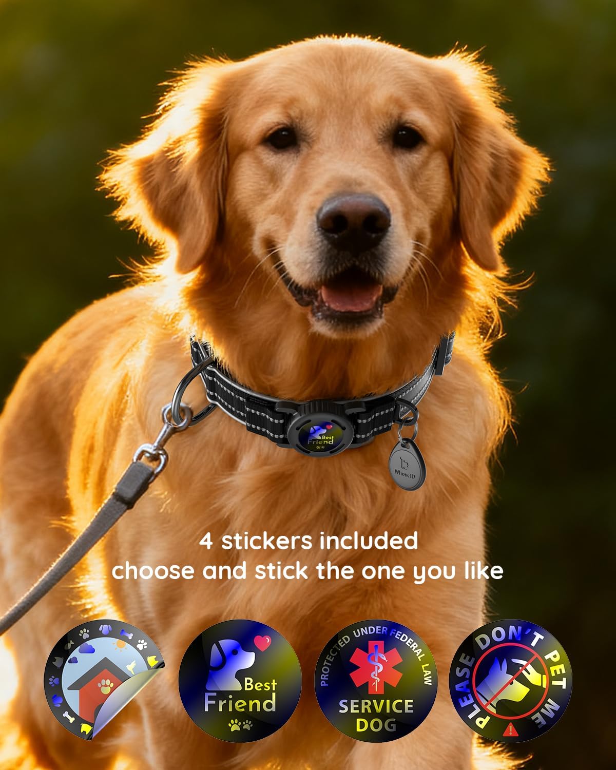 Waterproof AirTag Dog Collar Reflective Heavy Duty Adjustable