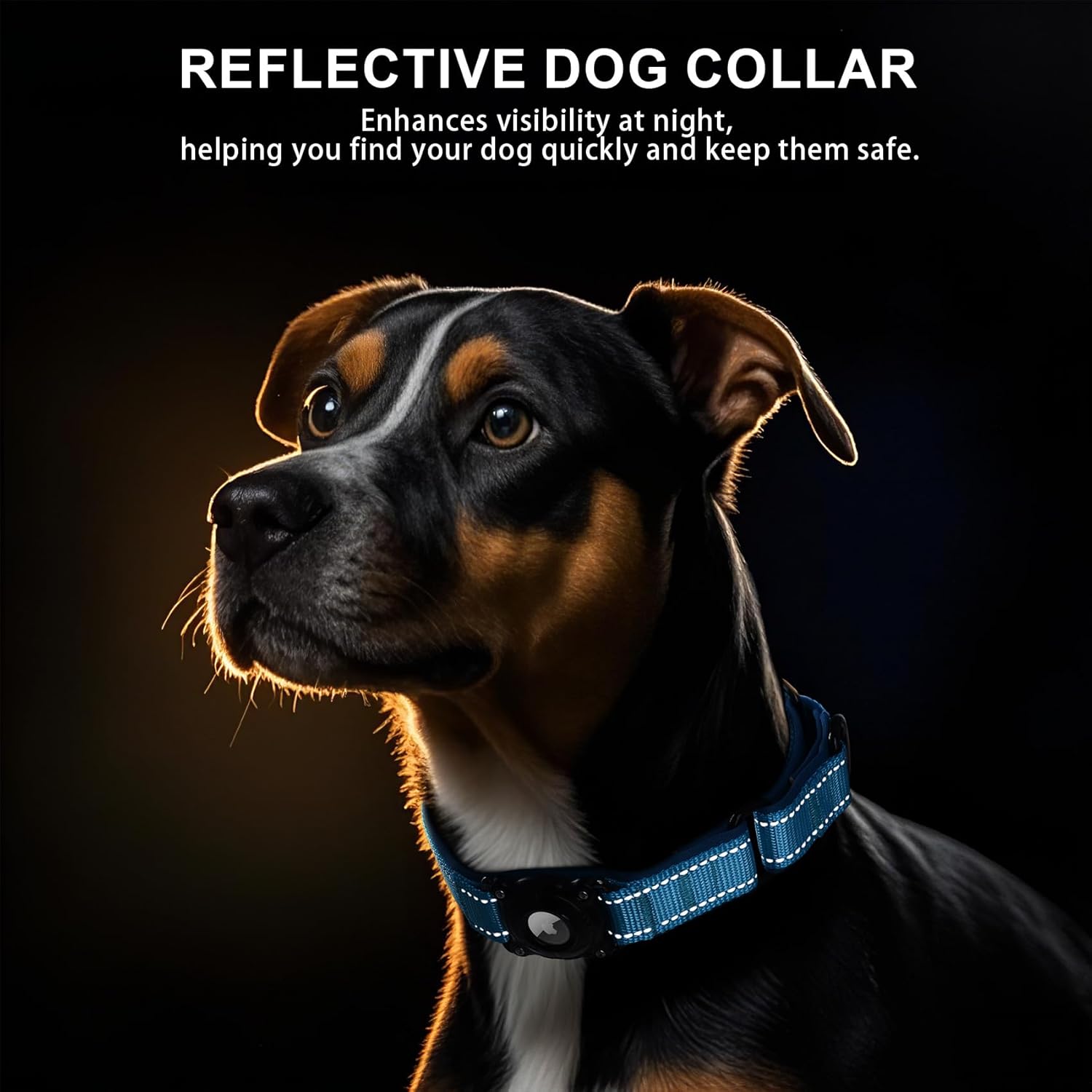 Waterproof Airtag Dog Collar with Martingale & Reflective Design - Abbycart
