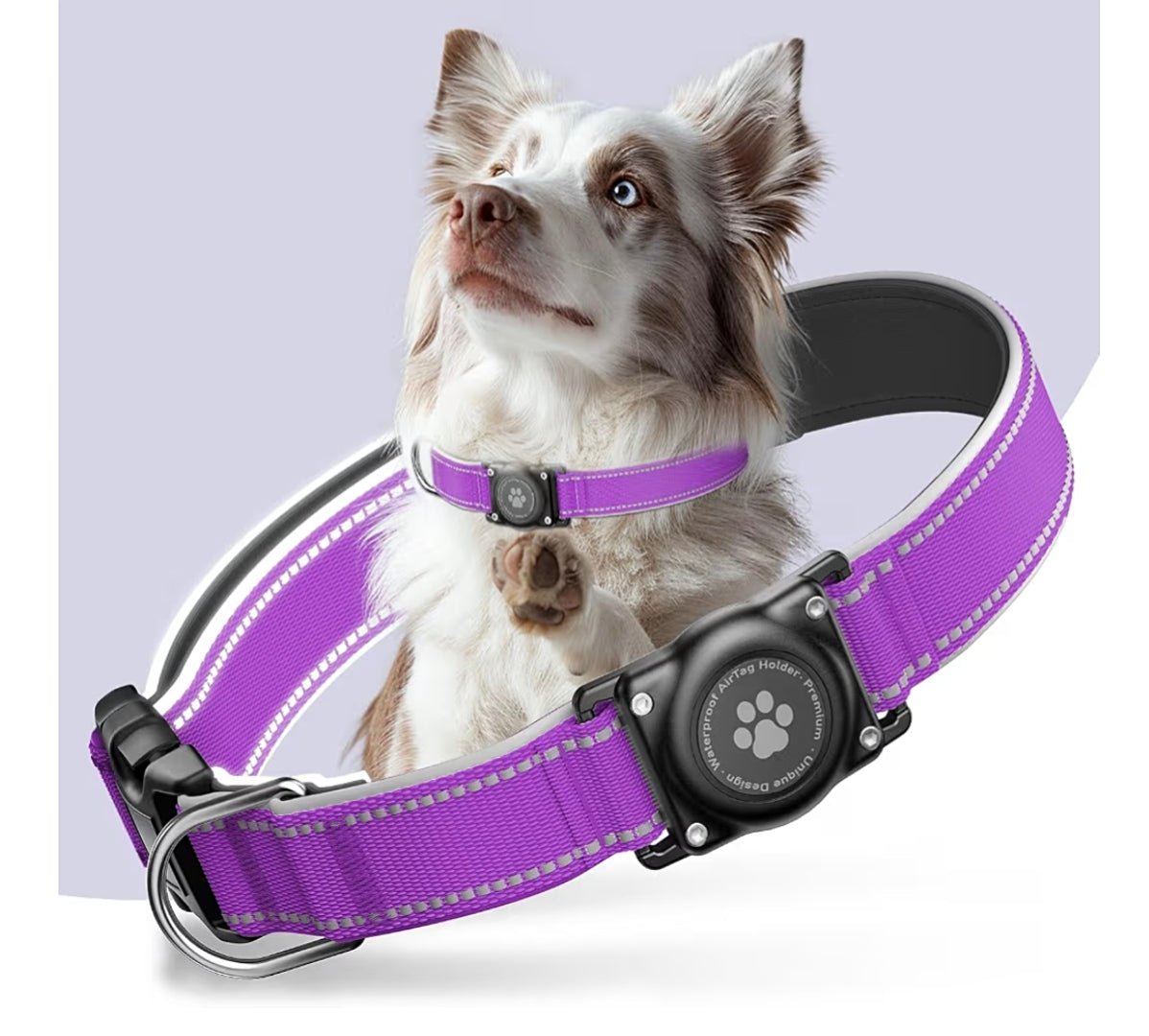 Waterproof AirTag Dog Collar with Reflective Design | Secure & Adjustable