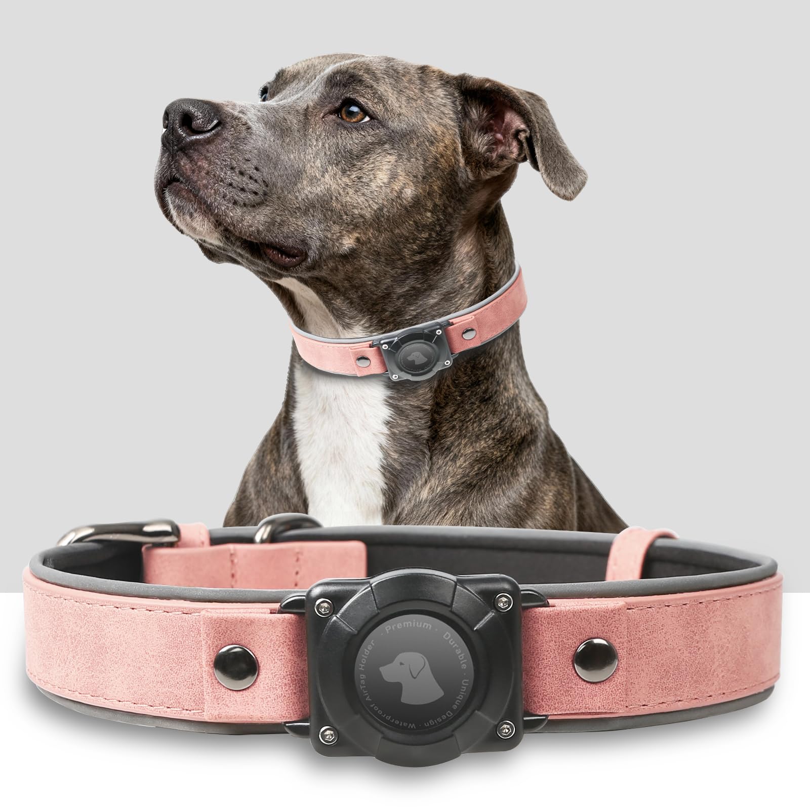 AirTag Dog Collar – Waterproof Leather Reflective Padded Pet Collar