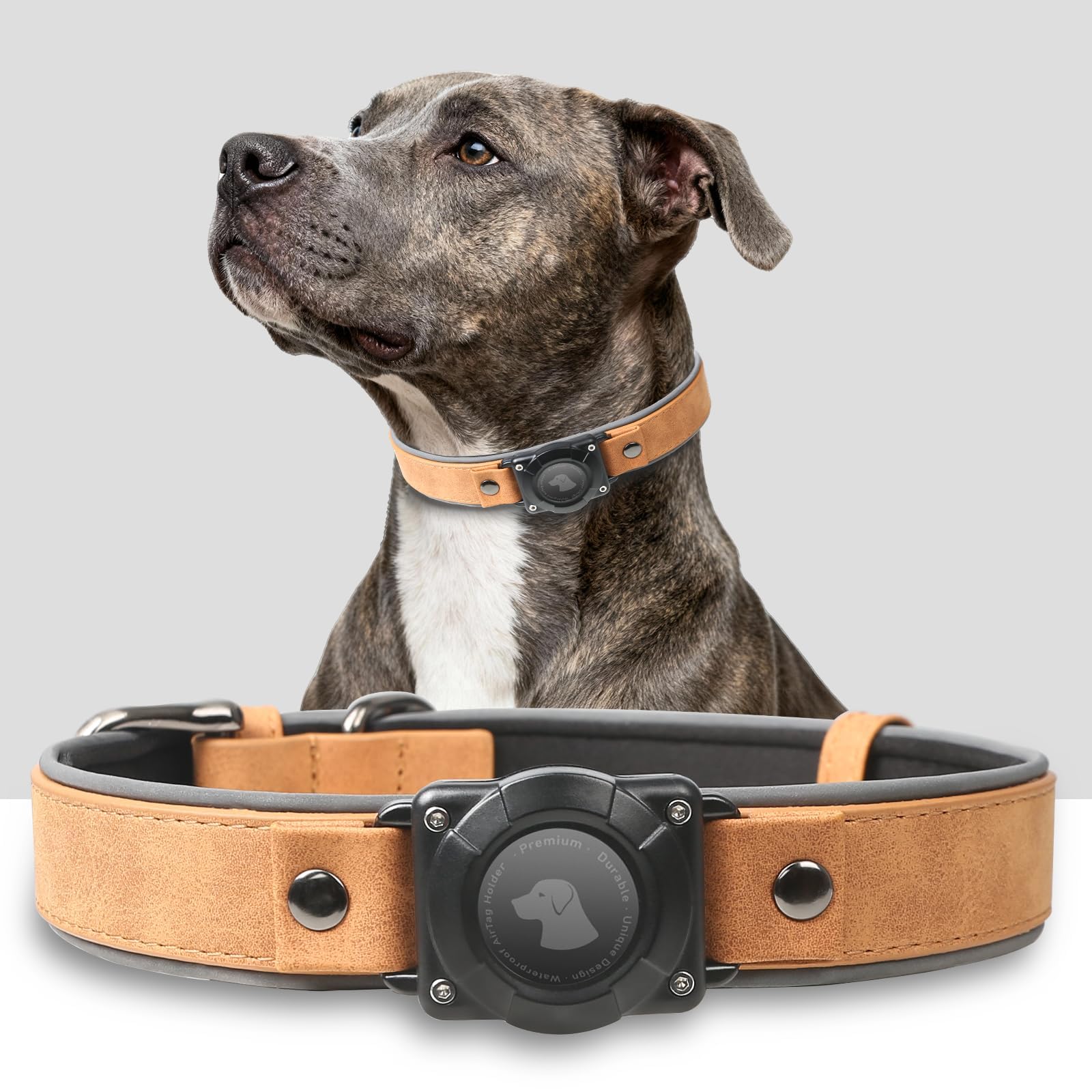 AirTag Dog Collar – Waterproof Leather Reflective Padded Pet Collar