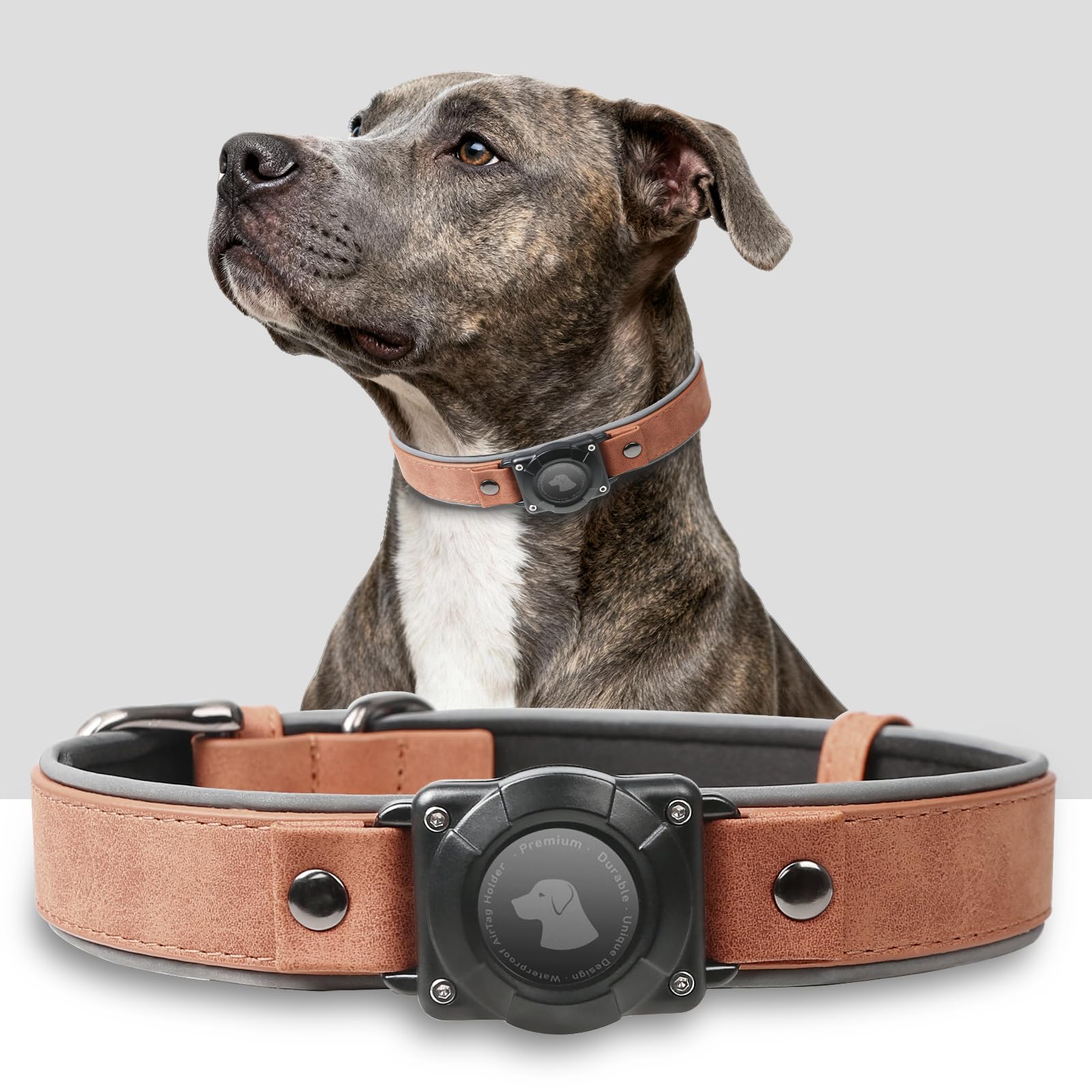 AirTag Dog Collar – Waterproof Leather Reflective Padded Pet Collar