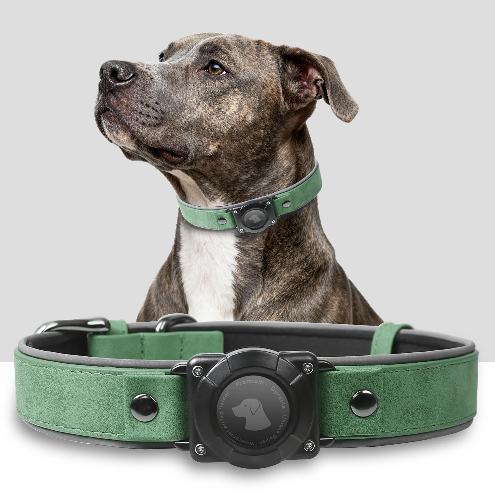 AirTag Dog Collar – Waterproof Leather Reflective Padded Pet Collar