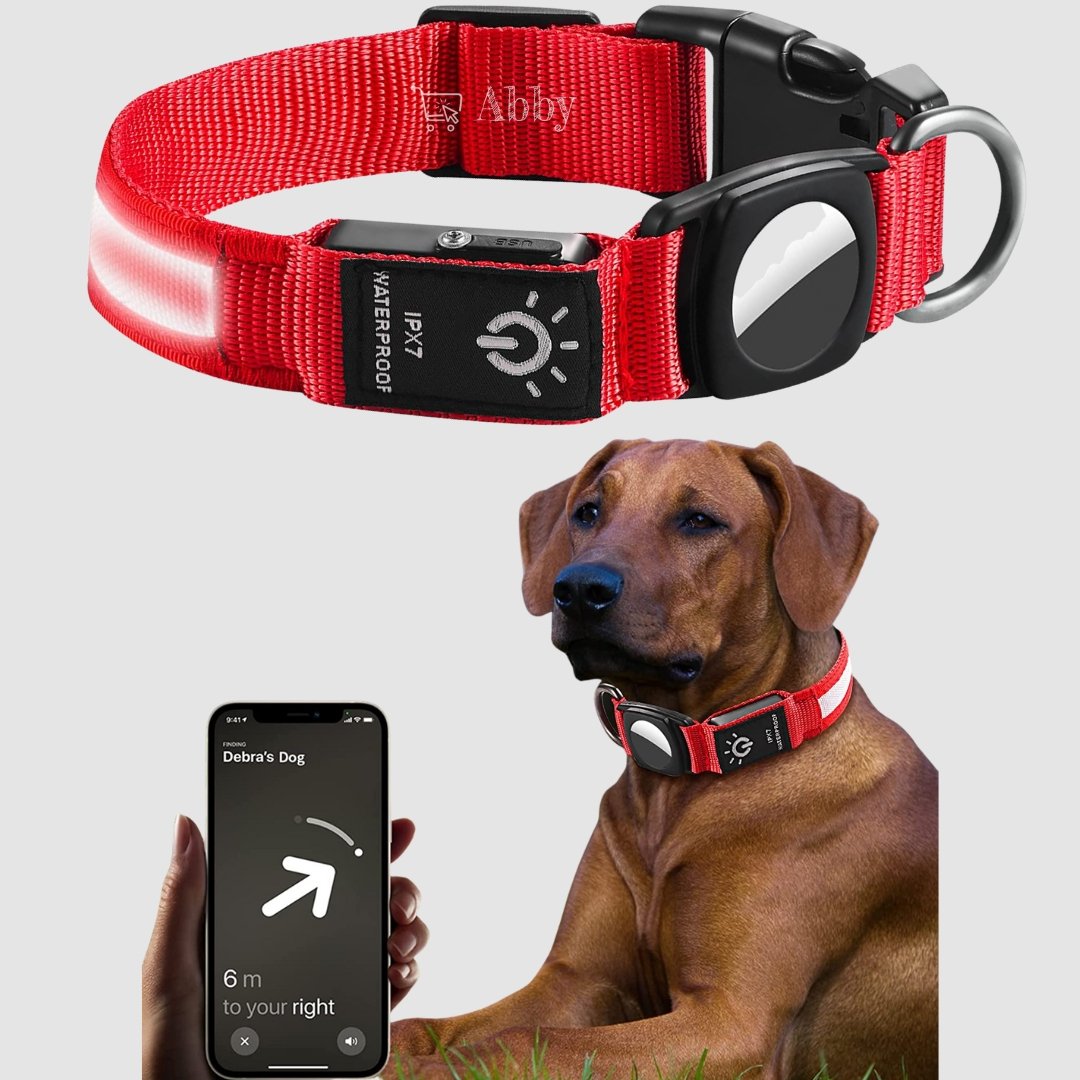 Abby's AirTag LED Light up Dog Collar, Apple Airtag for Dogs, Lighted Glowing Dog Collar - Abbycart