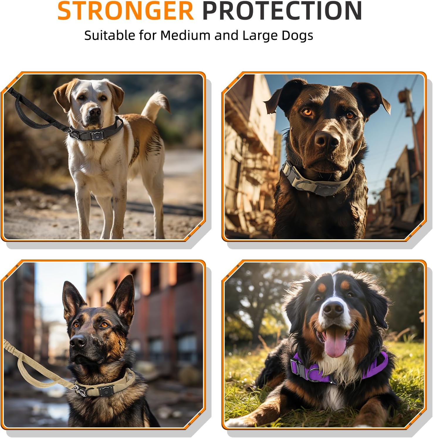 100% Waterproof Tactical AirTag Dog Collar – Durable Nylon, Integrated Holder, Adjustable for Medium & Large Dogs - Abbycart