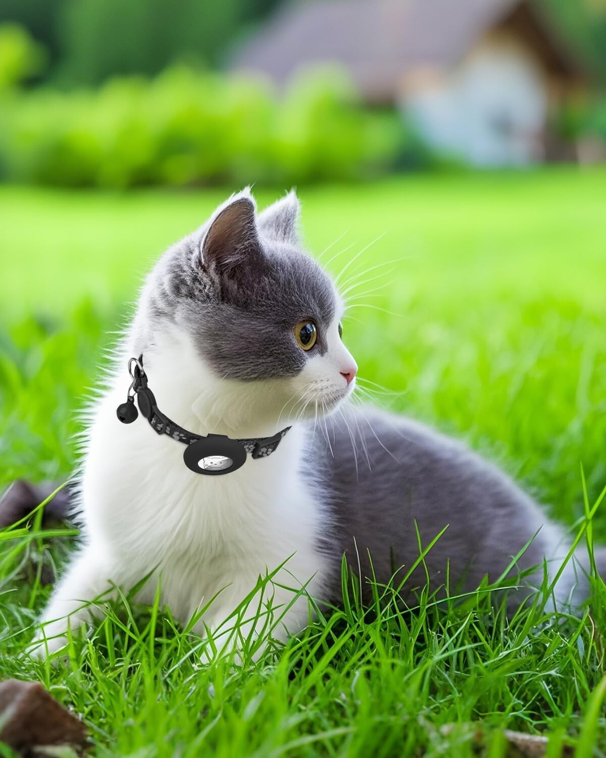 2 Pack AirTag Cat Collars – Reflective, Breakaway, Adjustable with Bell & AirTag Holder - Abbycart