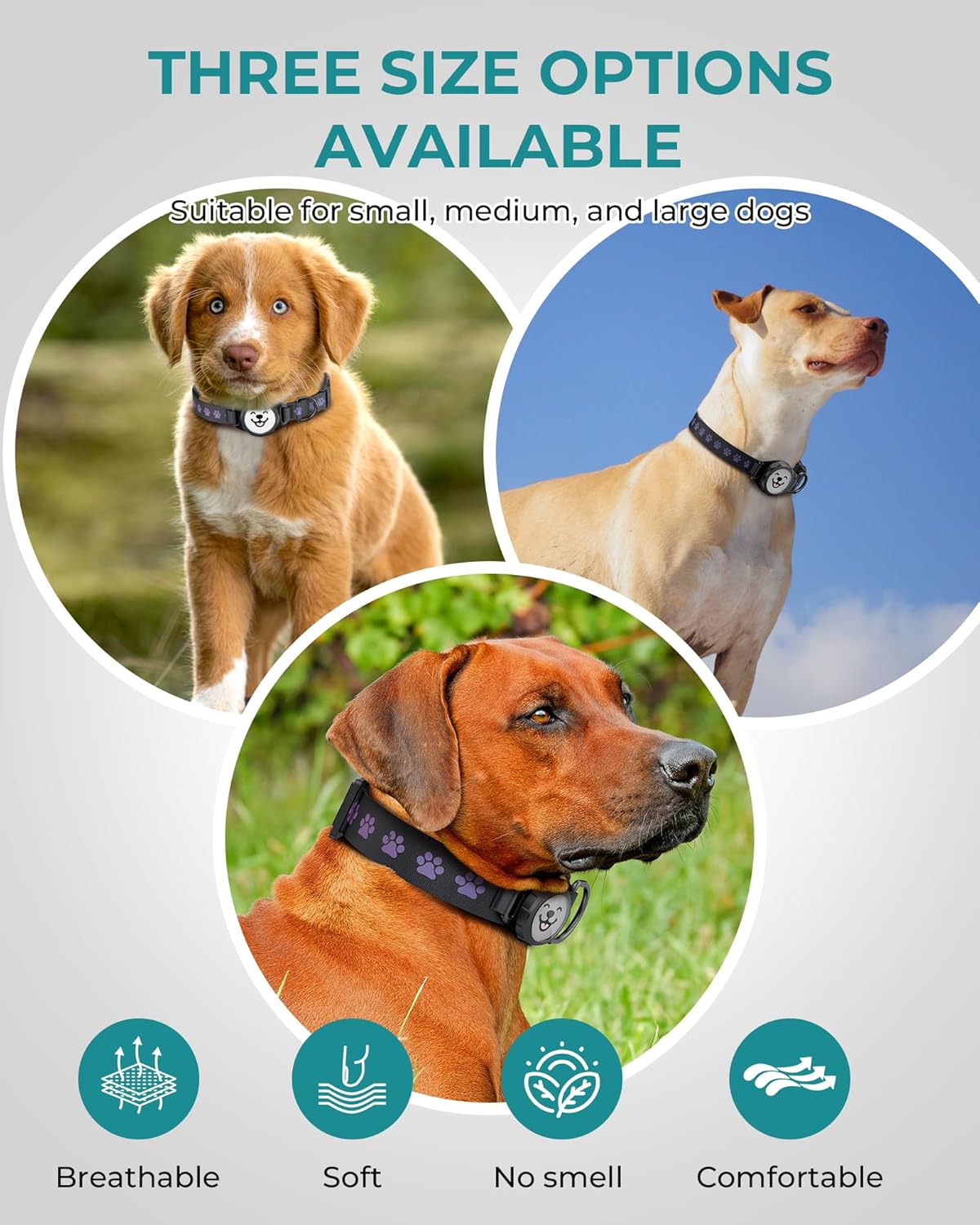 Durable Dog Collar with AirTag Holder - Waterproof & Reflective Design