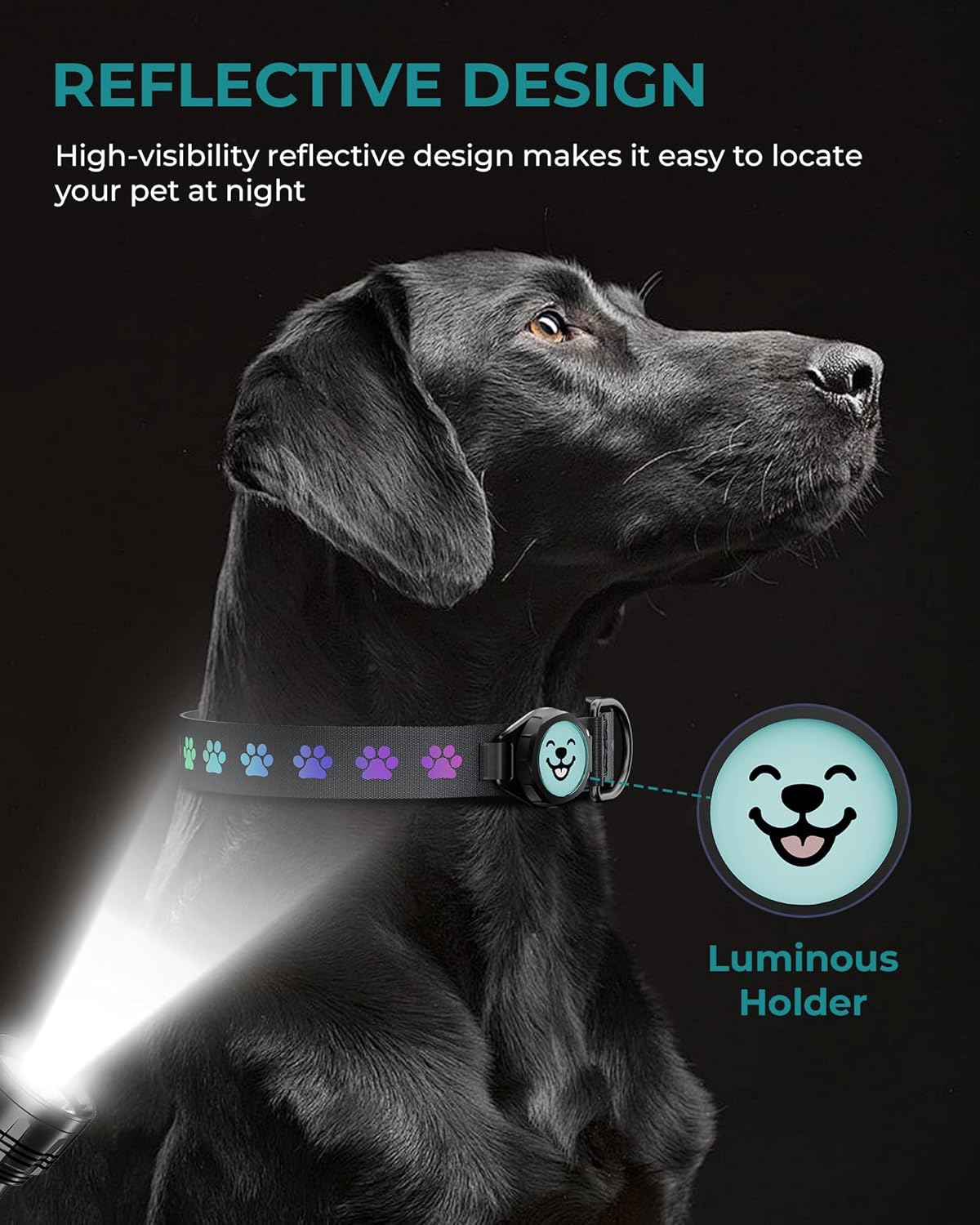 Durable Dog Collar with AirTag Holder - Waterproof & Reflective Design