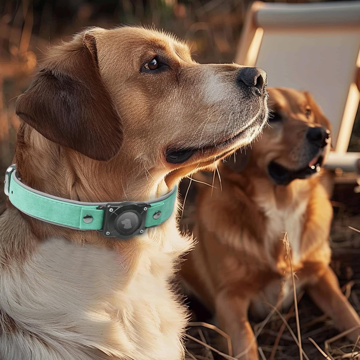 Leather AirTag Dog Collar – Waterproof, Reflective & Adjustable GPS Tracker for Medium and Large Dogs - Abbycart