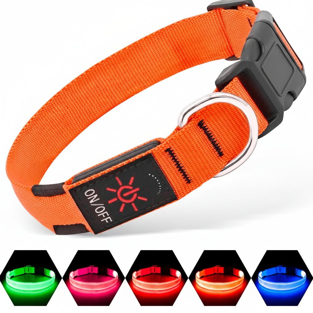 LED AirTag Dog Collar Waterproof Rechargeable Light Up Pet