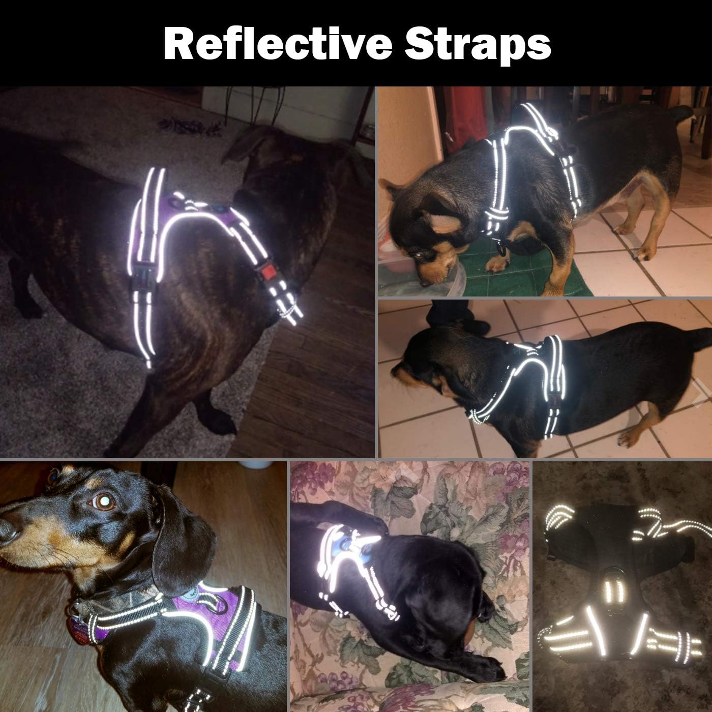 No Pull Dog Harness Reflective Adjustable with Handle & Clips
