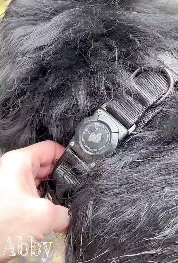 Tactical AirTag Dog Collar – Waterproof & Heavy Duty GPS