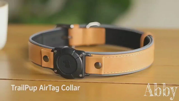 Leather AirTag Dog Collar – Waterproof, Reflective & Adjustable GPS Tracker for Medium and Large Dogs