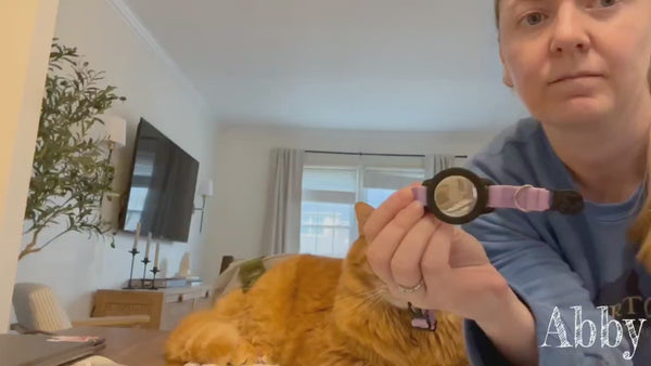 AirTag Cat Collar – Breakaway GPS Collar with Bell for Cats