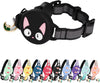 Reflective AirTag Cat Collar – GPS Tracker & Breakaway - Abbycart