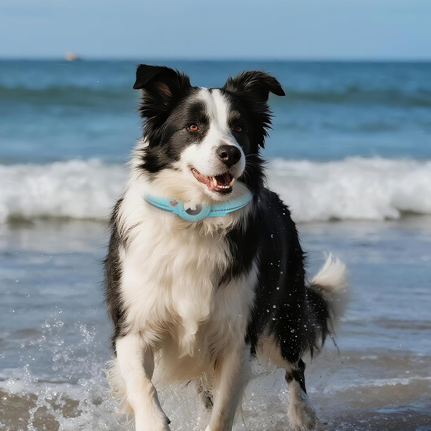 Upgraded AirTag Dog Collar with Holder, Reflective & Adjustable