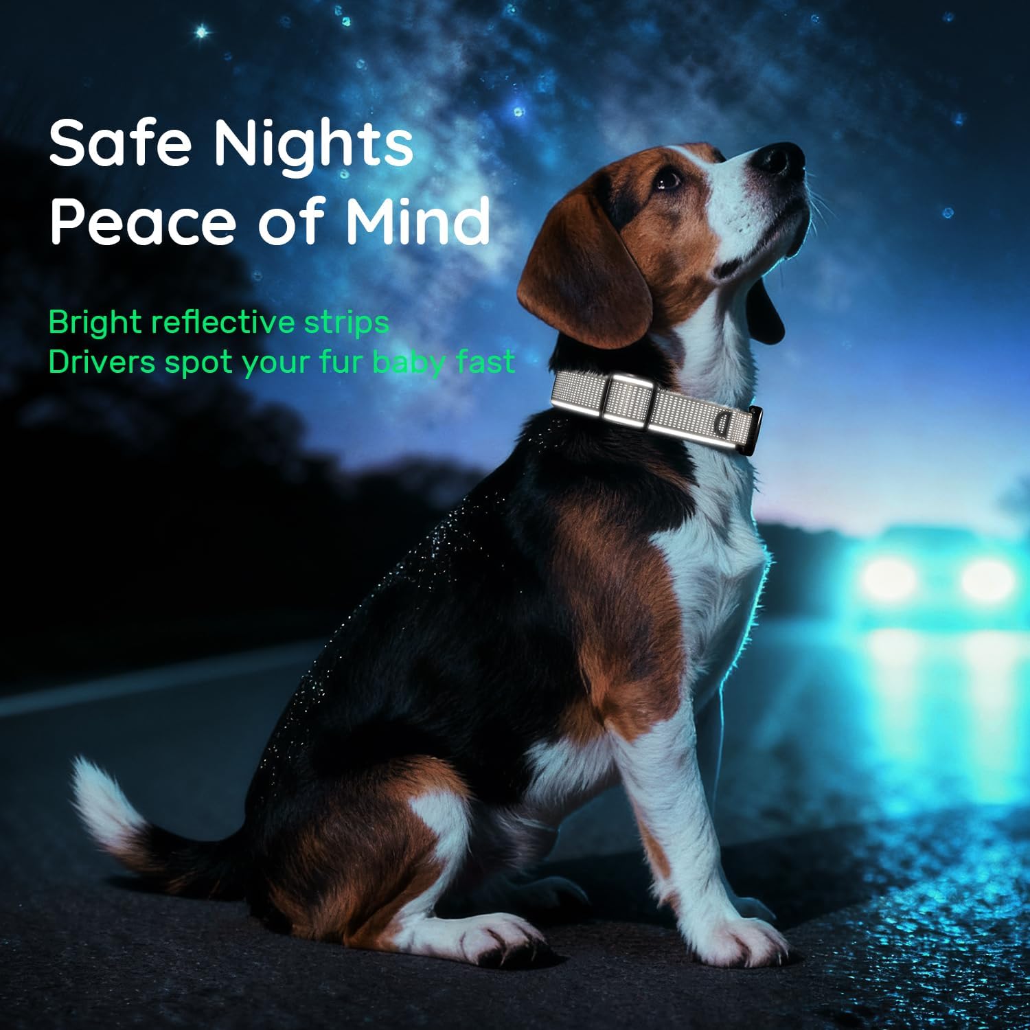 Waterproof AirTag Dog Collar for Large Dogs, Magnetic Buckle, Reflective