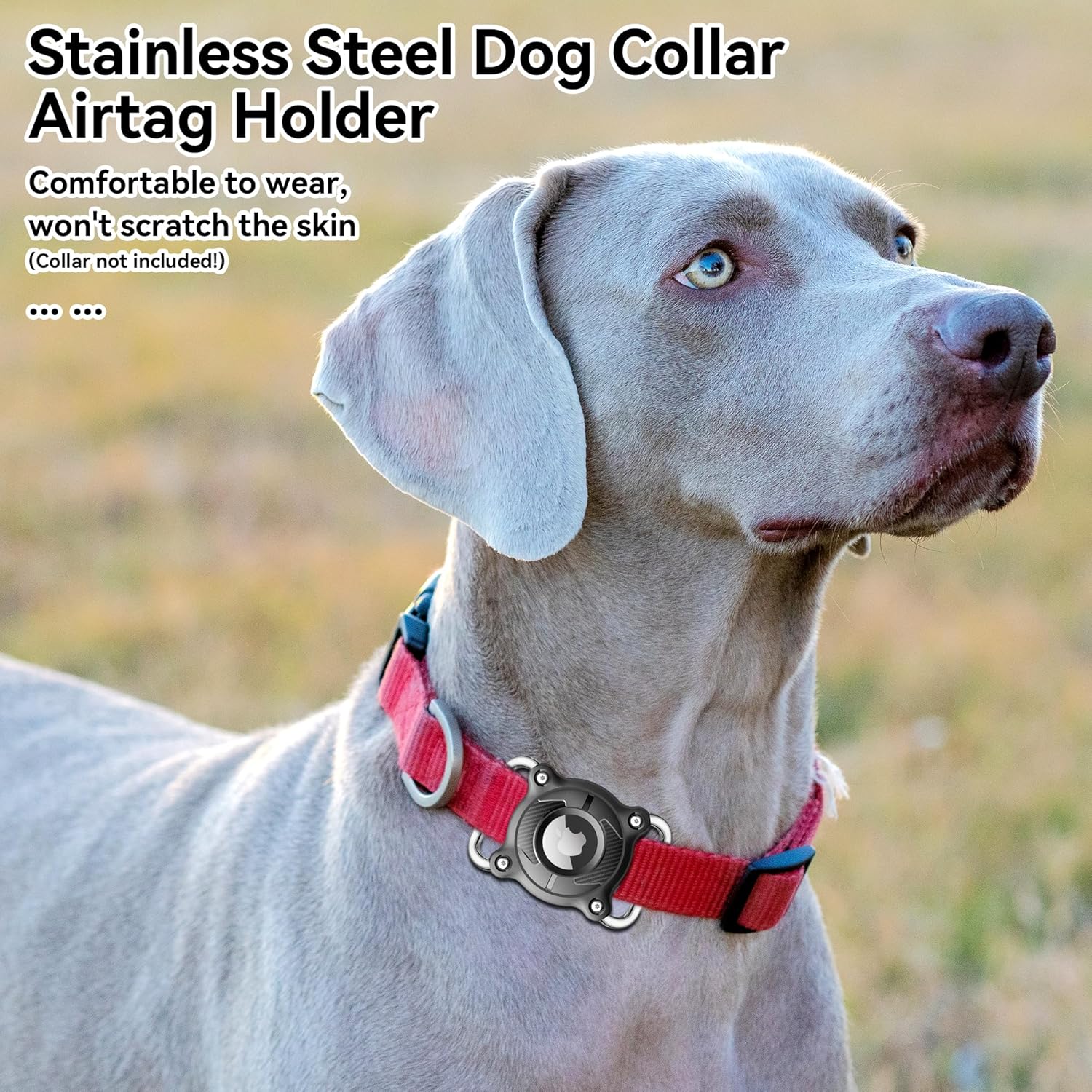 Waterproof AirTag Dog Collar Holder – Secure & Durable Pet Tracker Attachment - Abbycart