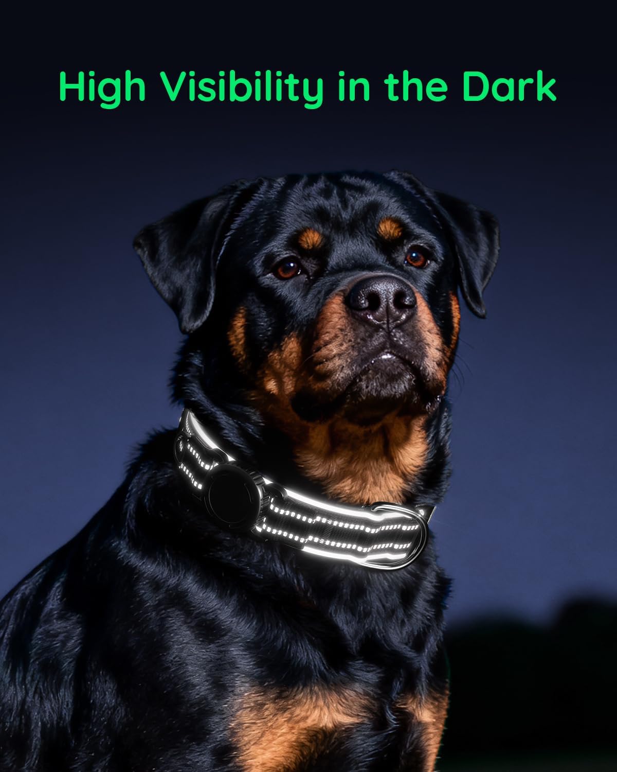 Waterproof AirTag Dog Collar Reflective Heavy Duty Adjustable