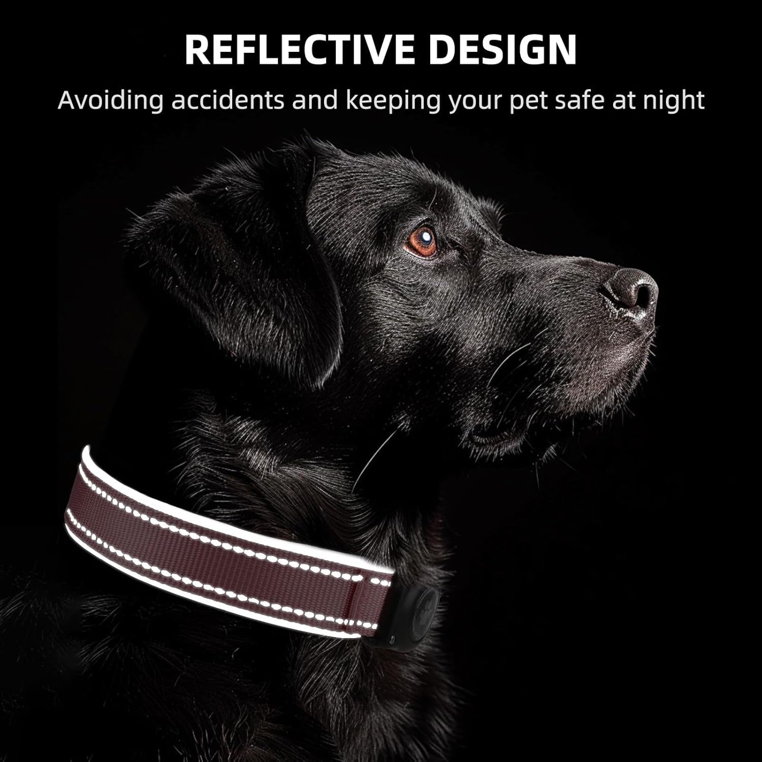 Waterproof AirTag Dog Collar with Reflective Design | Secure & Adjustable - Abbycart