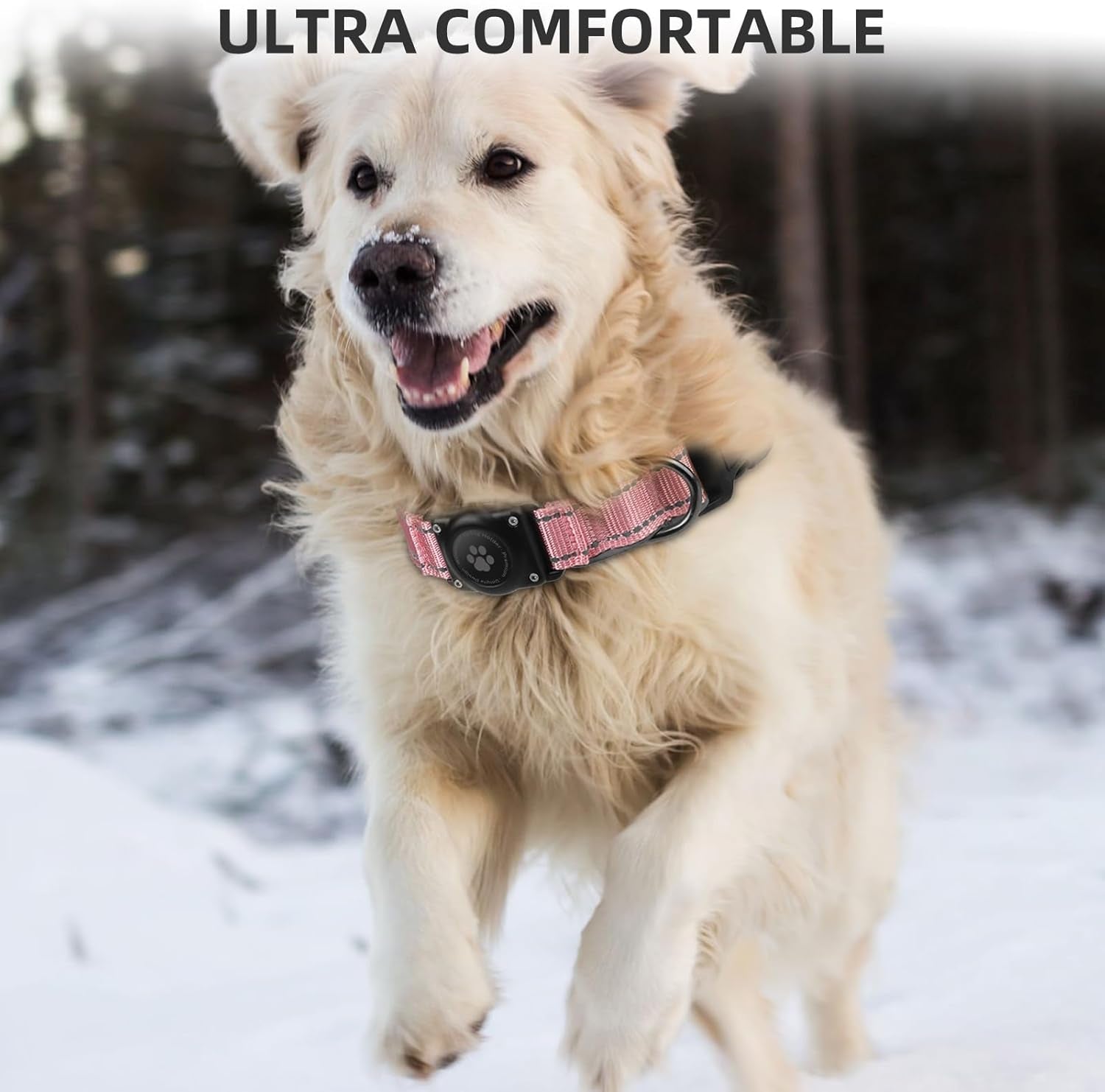 Waterproof AirTag Dog Collar with Reflective Design | Secure & Adjustable - Abbycart