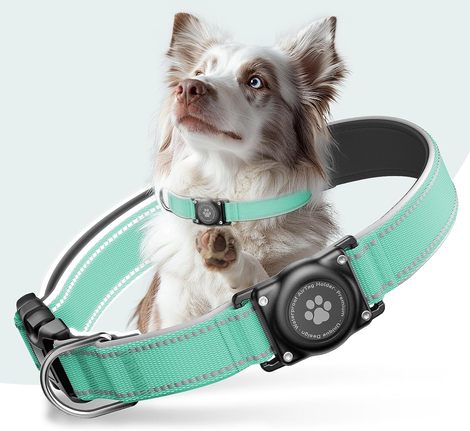 Waterproof AirTag Dog Collar with Reflective Padding & Secure Holder