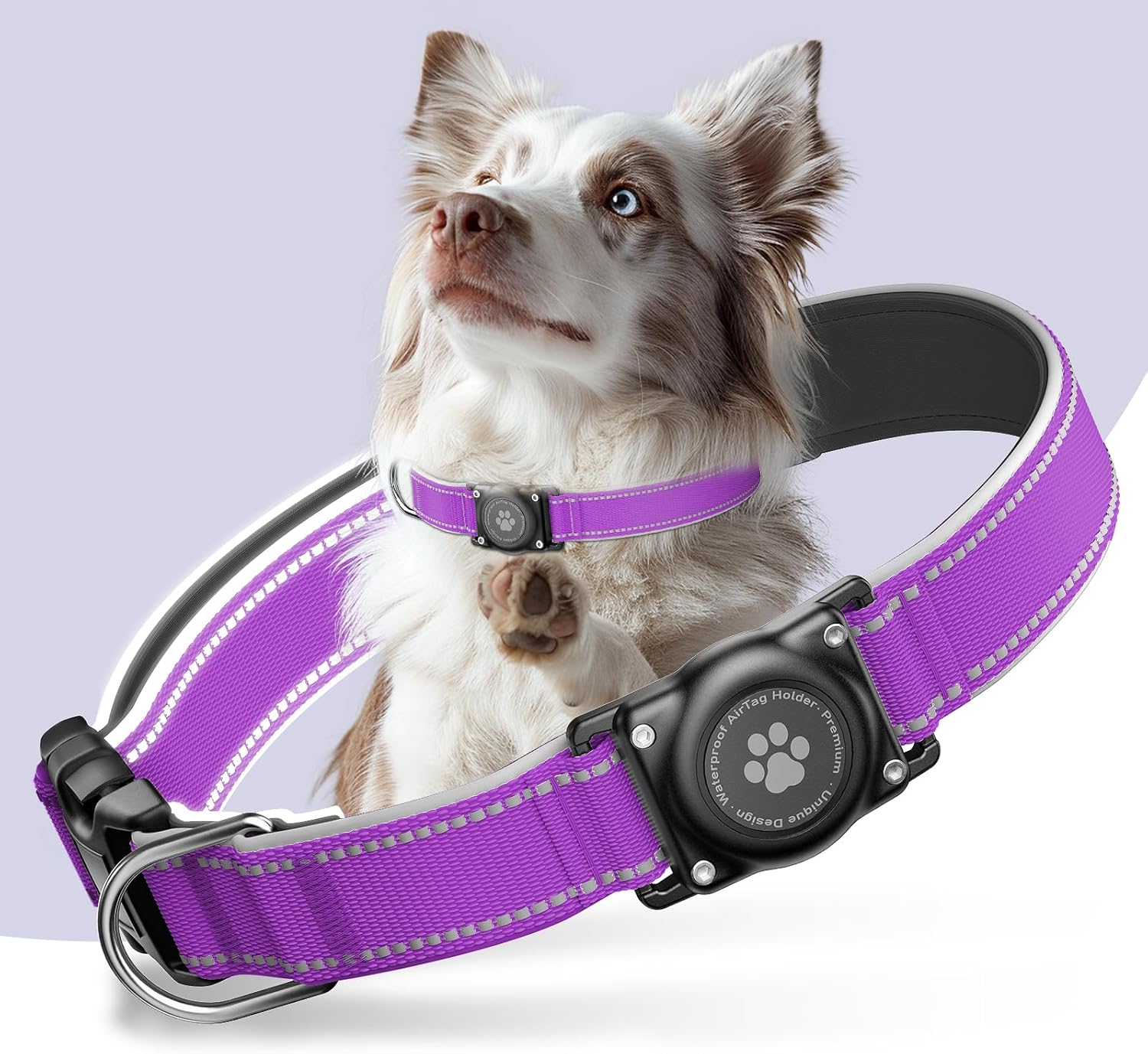 Waterproof AirTag Dog Collar with Reflective Padding & Secure Holder