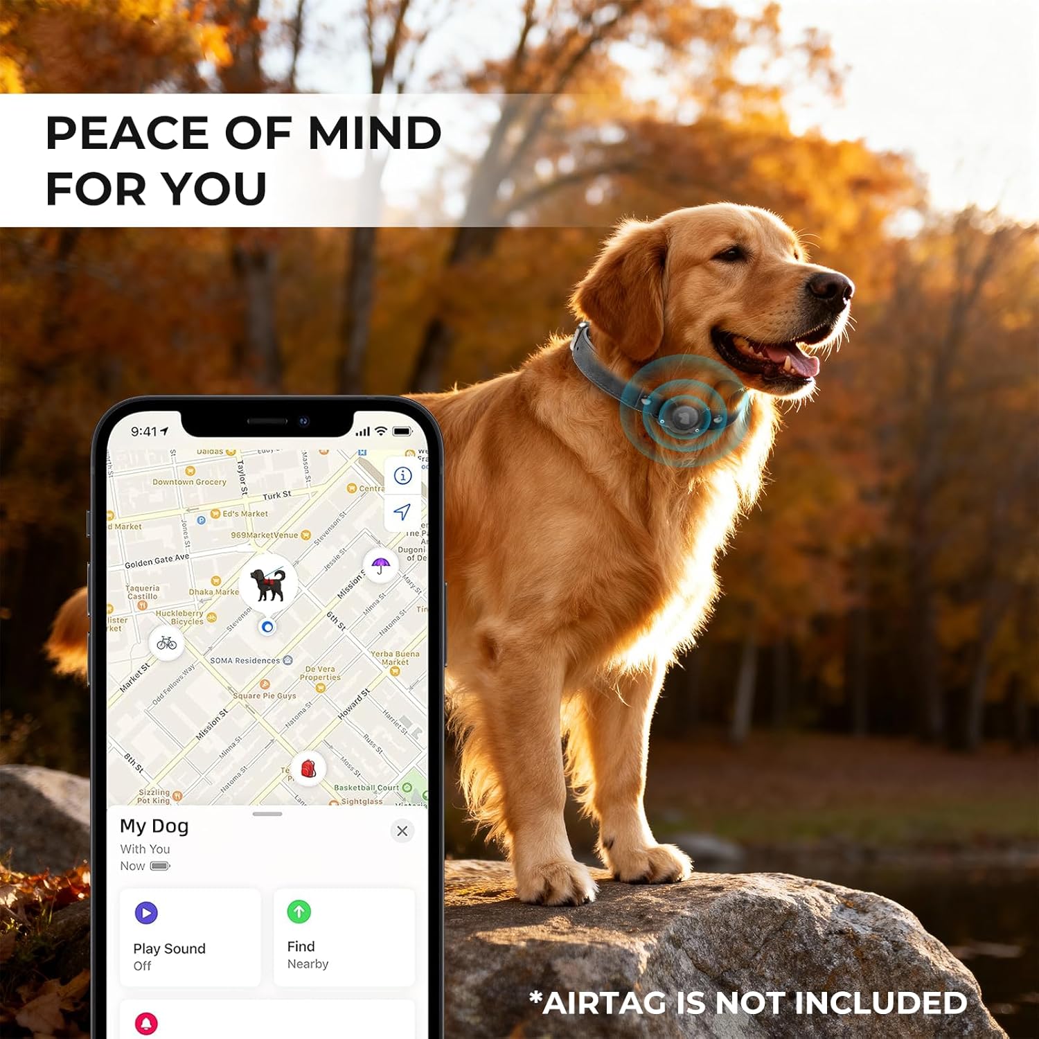 Premium Leather AirTag Dog Collar, 100% Waterproof & Reflective Dog Collar with AirTag Holder – Compatible with Apple Air Tag | Durable, Comfortable Padded GPS Dog Collars（Black-M）