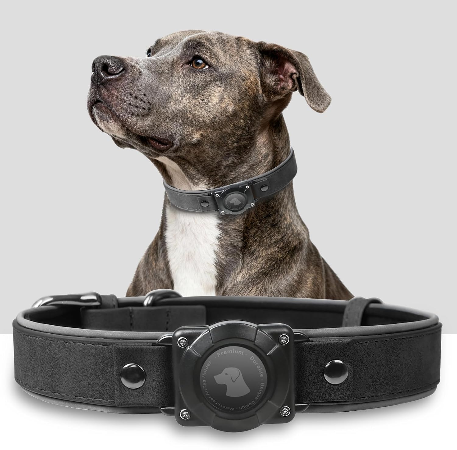 AirTag Dog Collar – Waterproof Leather Reflective Padded Pet Collar