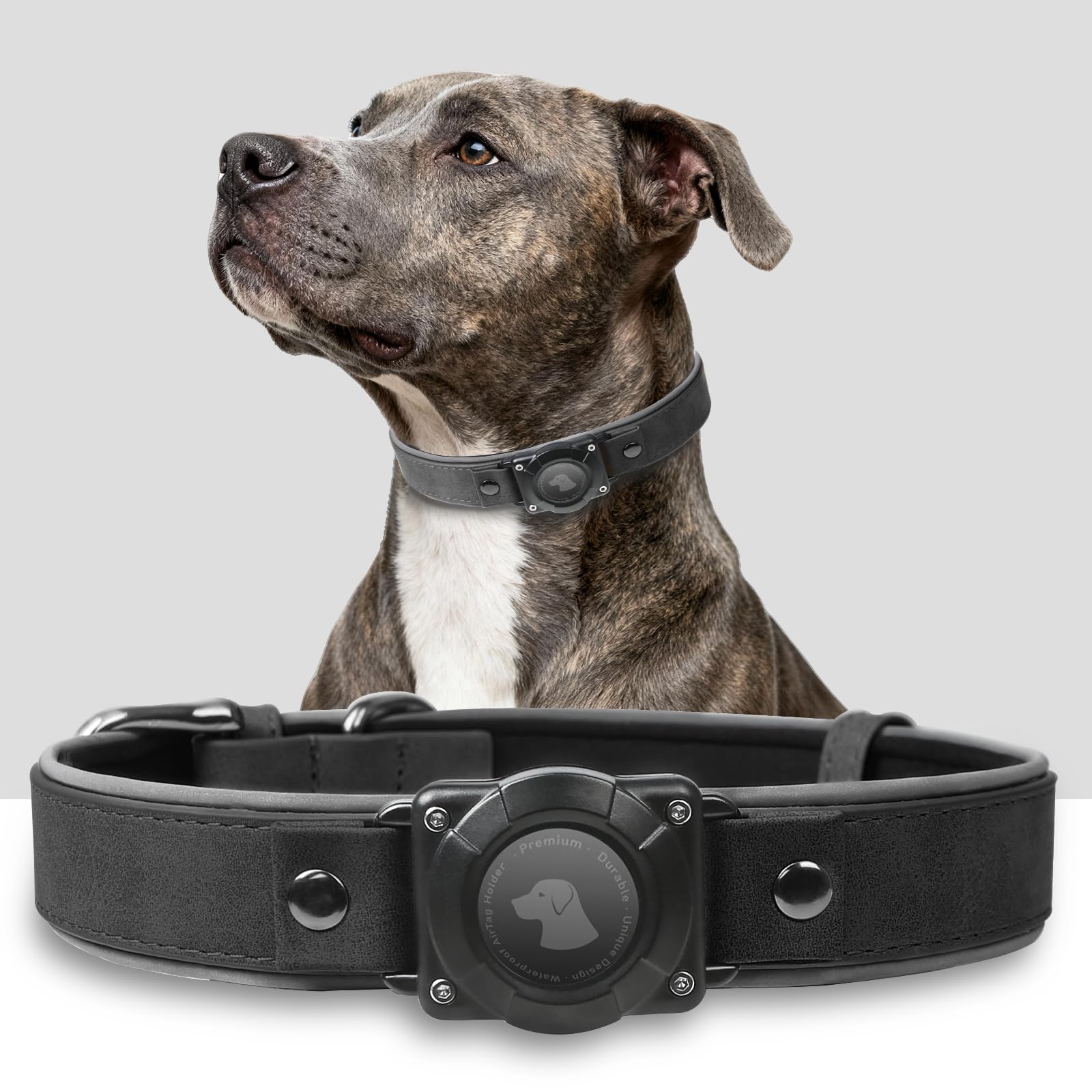 AirTag Dog Collar – Waterproof Leather Reflective Padded Pet Collar