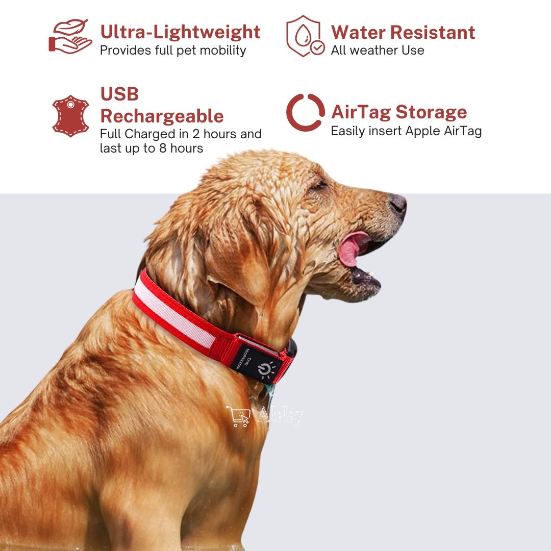 Abby's AirTag LED Light up Dog Collar, Apple Airtag for Dogs, Lighted Glowing Dog Collar - Abbycart