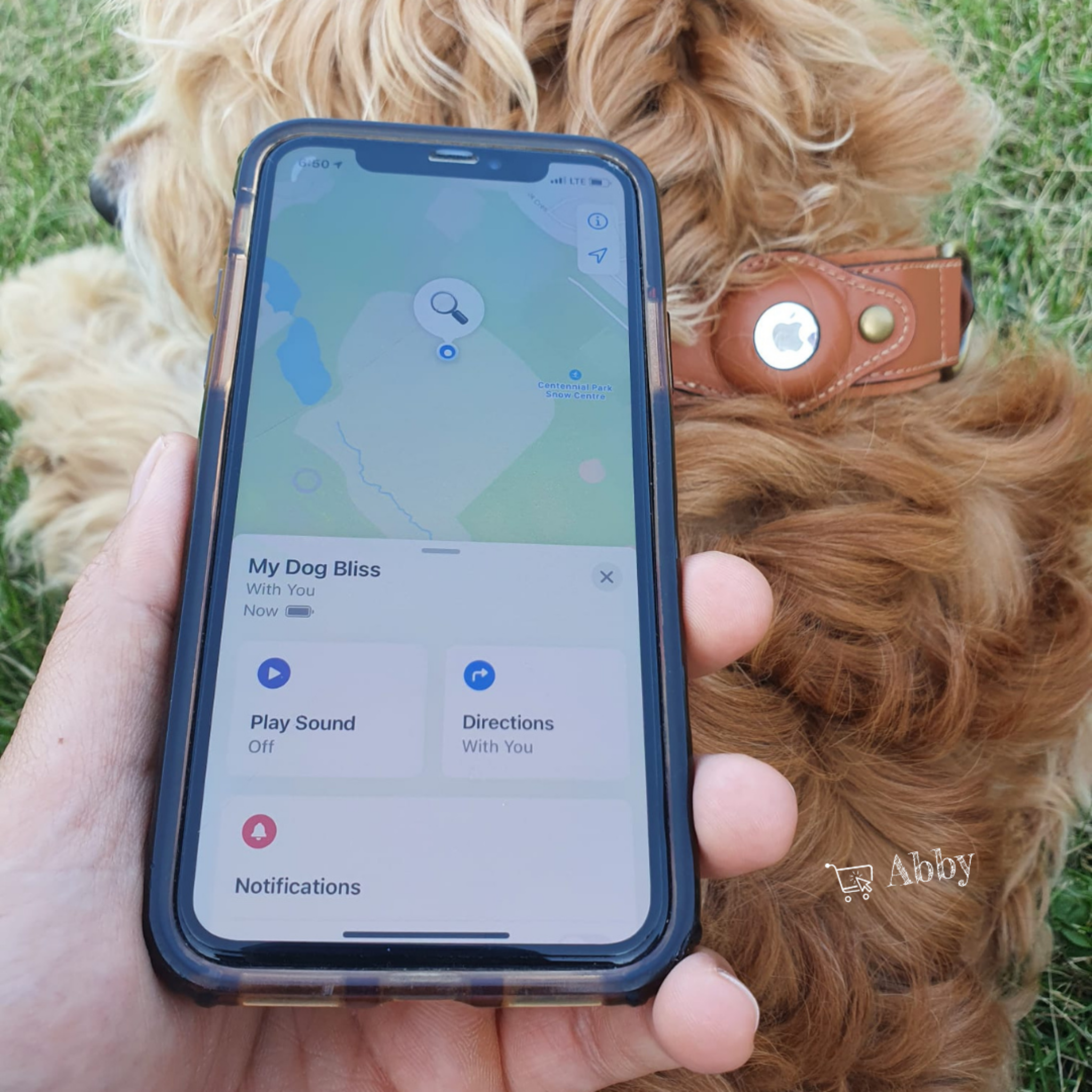 Abby’s Apple AirTag Dog Collar for your Pet, Leather - GPS Tracking - Abbycart