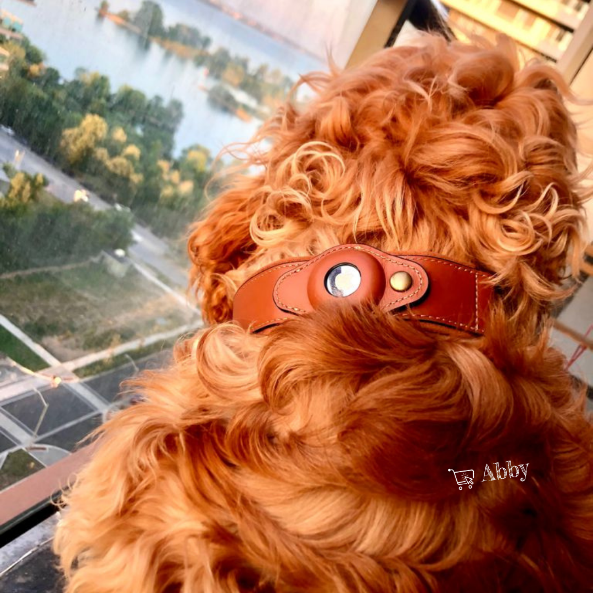 Abby’s Apple AirTag Dog Collar for your Pet, Leather - GPS Tracking - Abbycart