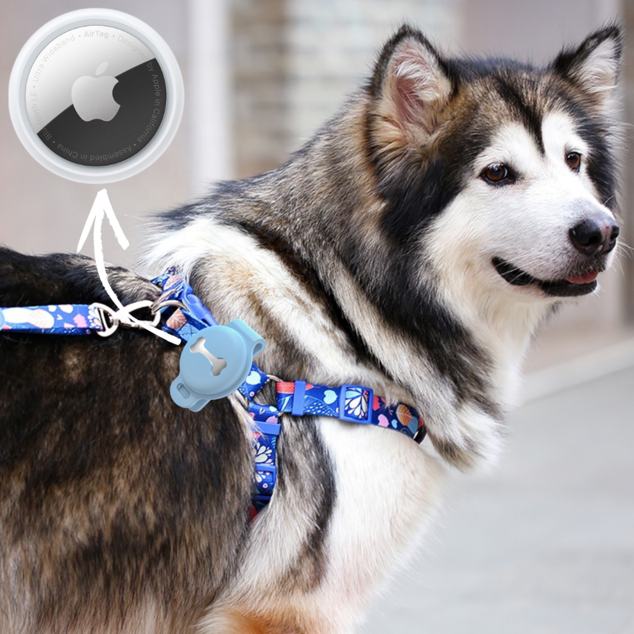Abby's Case for Apple AirTag, Dog Tag for your Pet's, Dog Collar - Abbycart