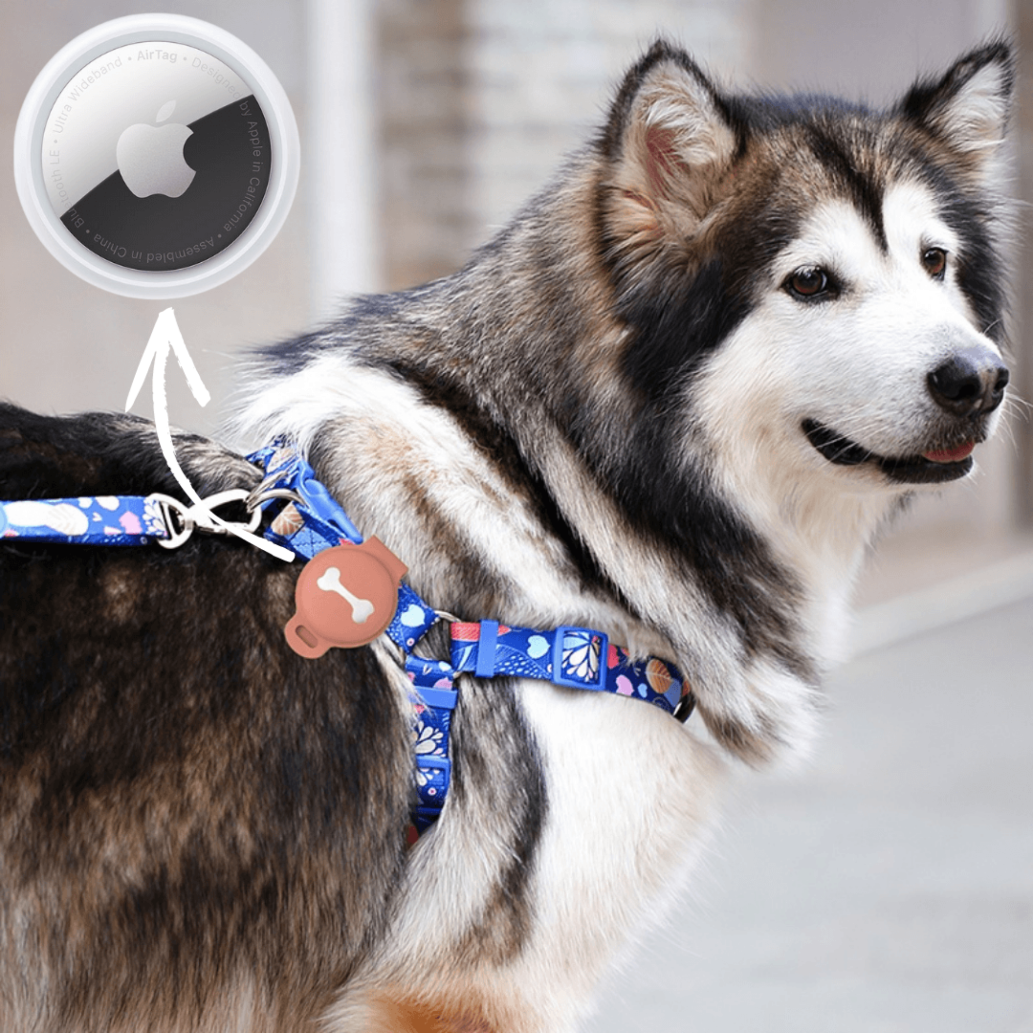 Abby's Case for Apple AirTag, Dog Tag for your Pet's, Dog Collar - Abbycart