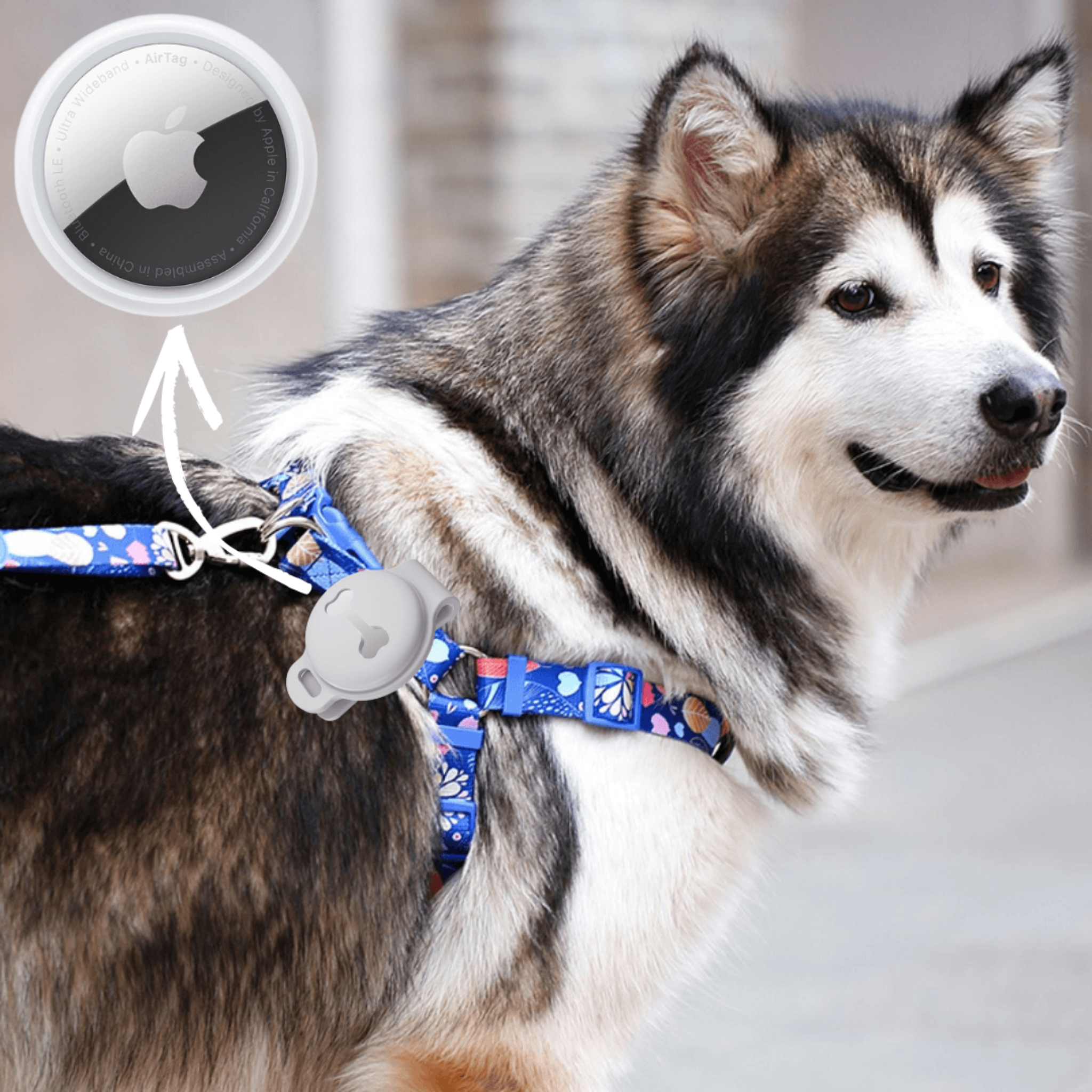 Abby's Case for Apple AirTag, Dog Tag for your Pet's, Dog Collar - Abbycart