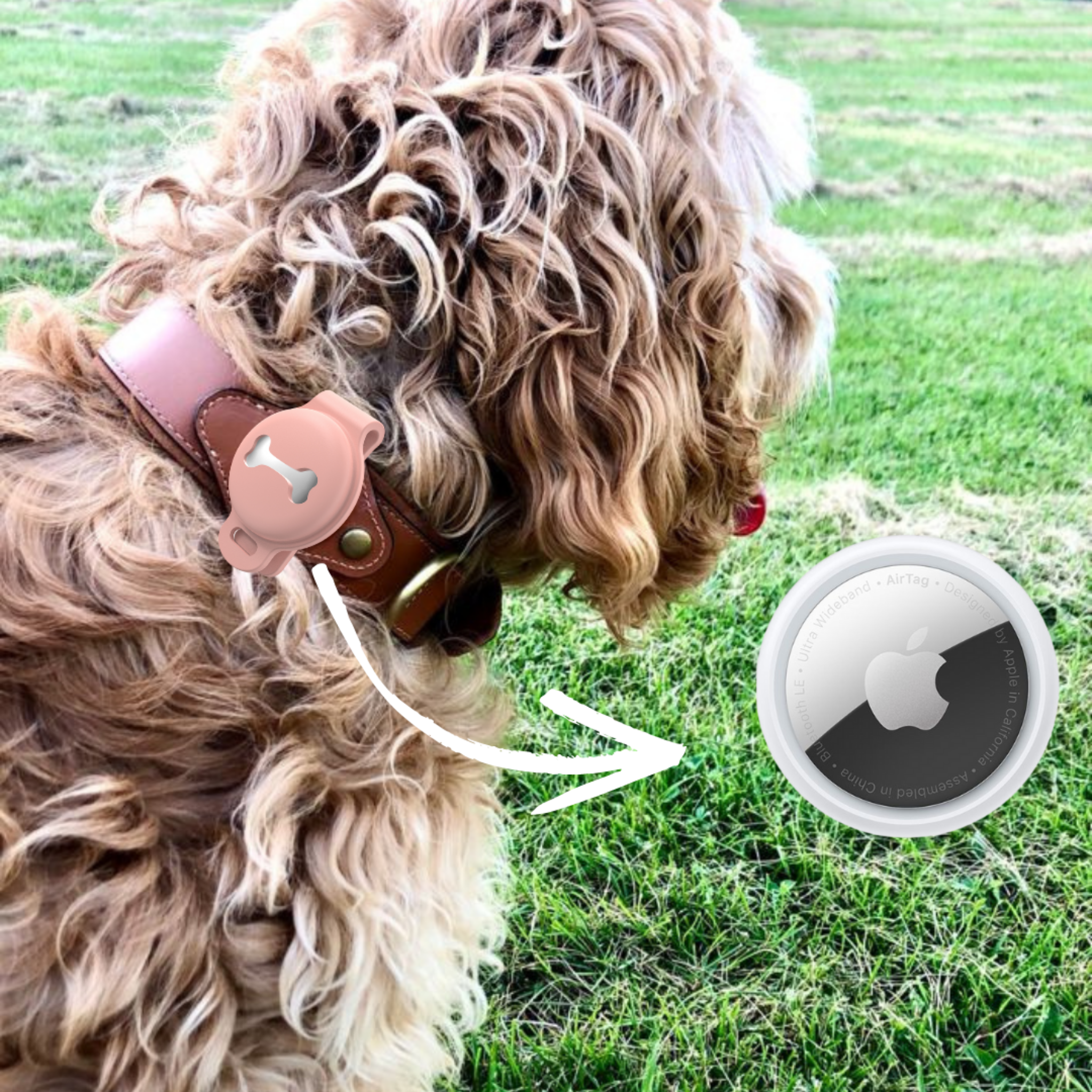 Abby's Case for Apple AirTag, Dog Tag Tracking for your Pet's, Dog Collar - Abbycart