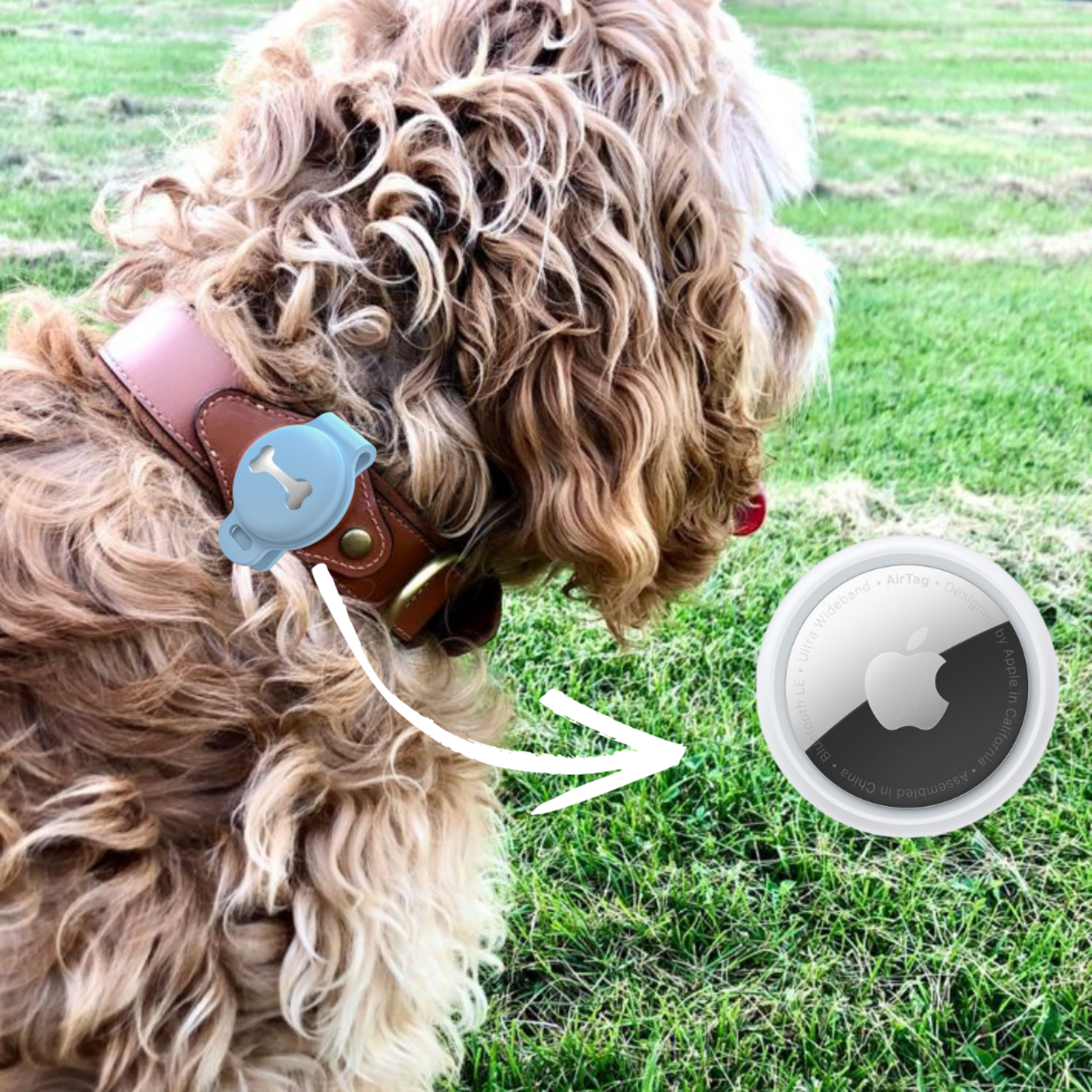 Abby's Case for Apple AirTag, Dog Tag Tracking for your Pet's, Dog Collar - Abbycart