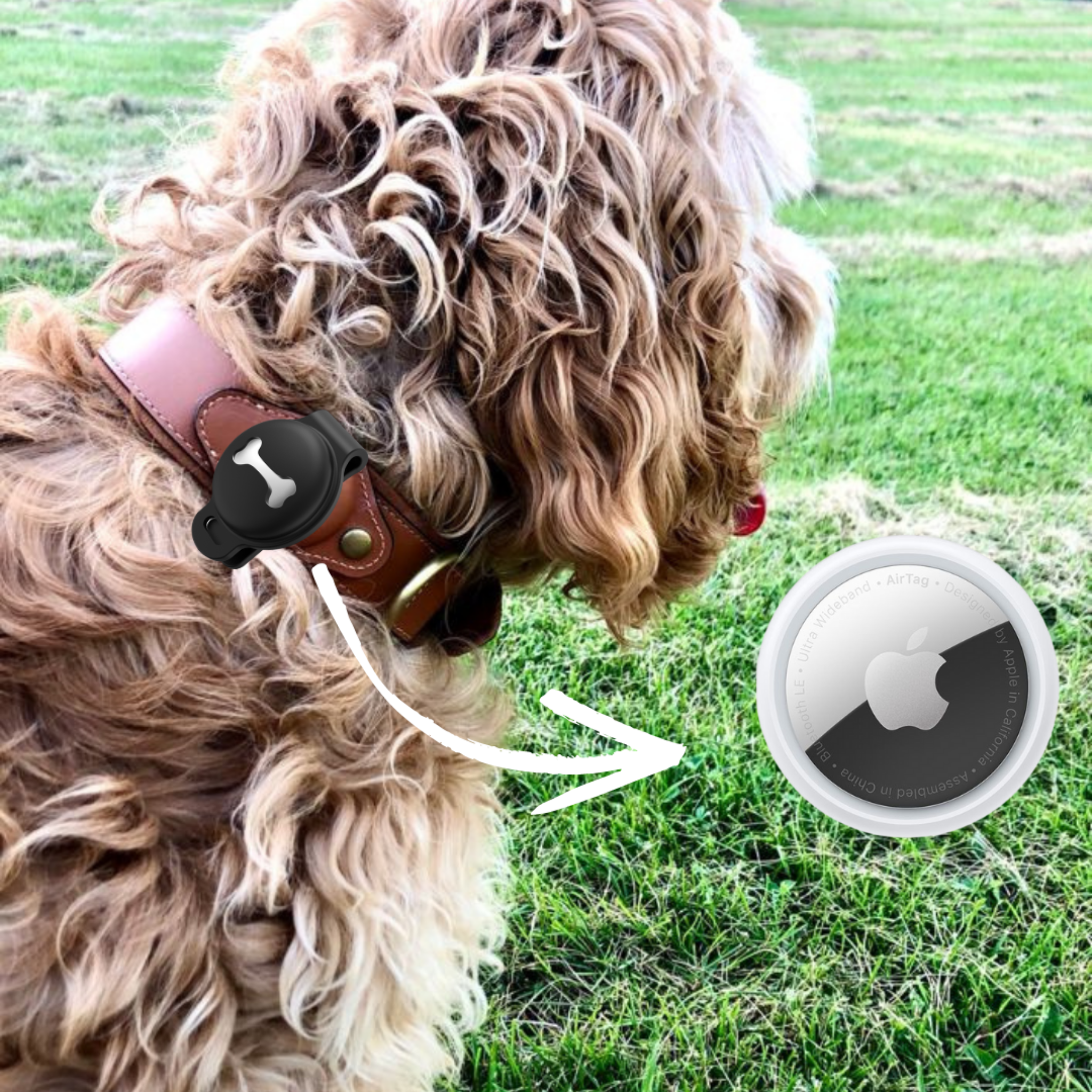 Abby's Case for Apple AirTag, Dog Tag Tracking for your Pet's, Dog Collar - Abbycart
