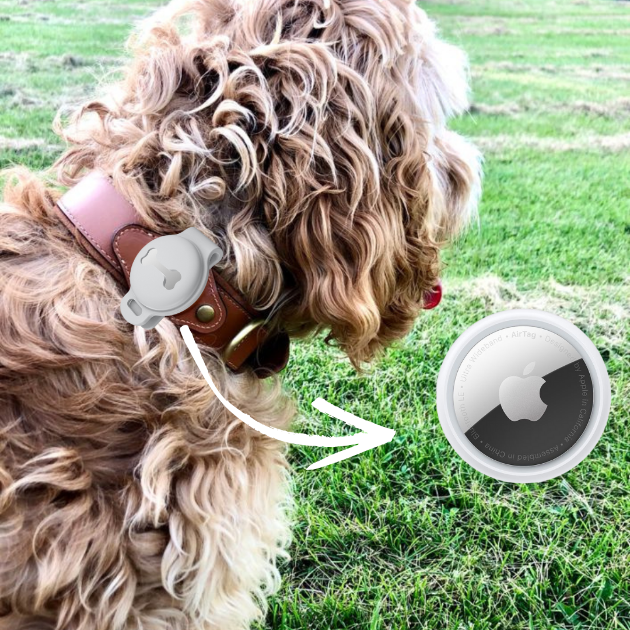 Abby's Case for Apple AirTag, Dog Tag Tracking for your Pet's, Dog Collar - Abbycart